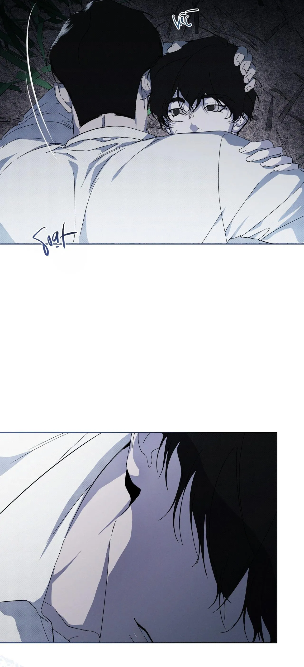 HÌNH THÁI TIẾN HÓA Chapter 13 Trang 50