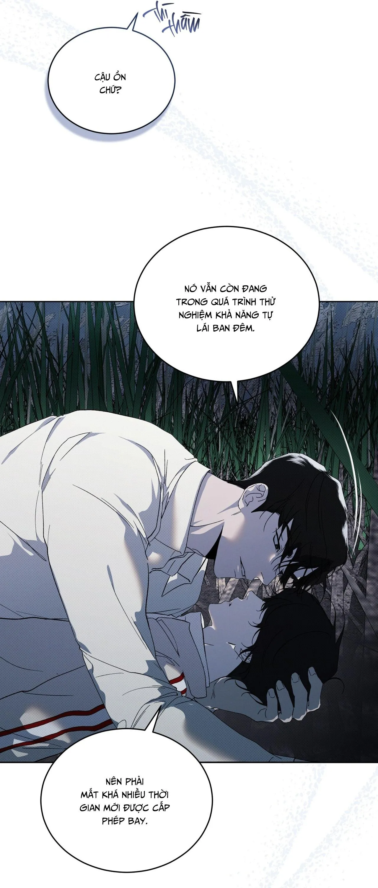 HÌNH THÁI TIẾN HÓA Chapter 13 Trang 51