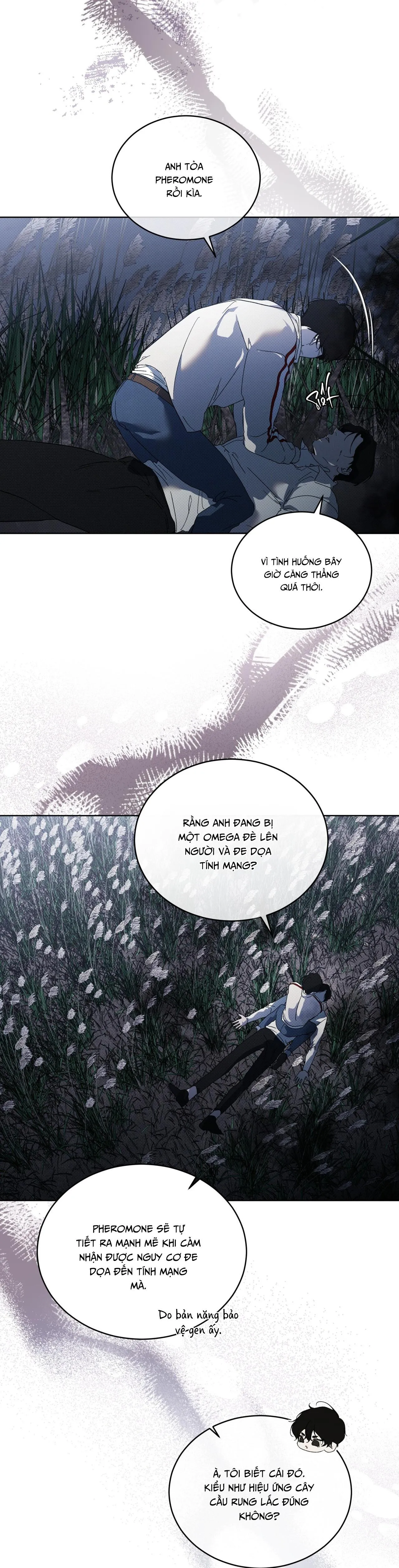 HÌNH THÁI TIẾN HÓA Chapter 13 Trang 57