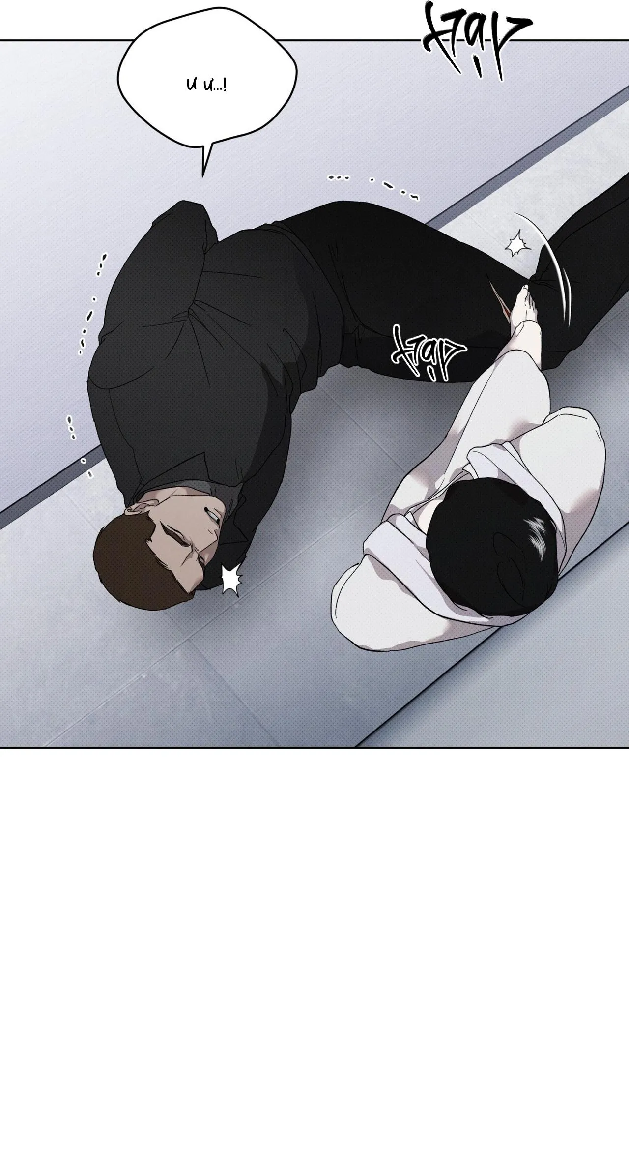 HÌNH THÁI TIẾN HÓA Chapter 14 Trang 16