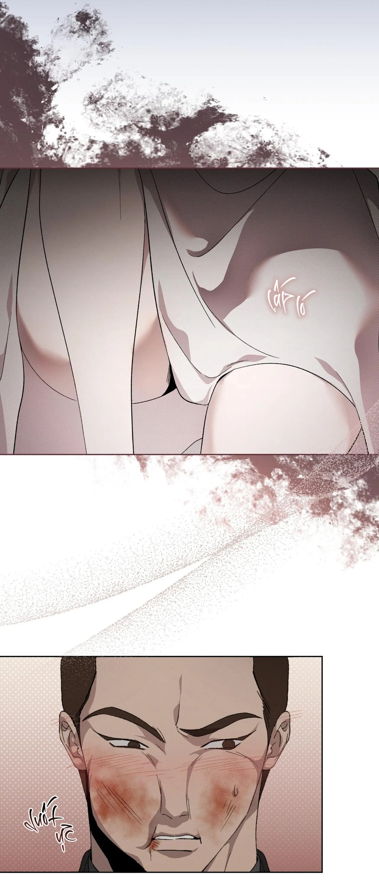 HÌNH THÁI TIẾN HÓA Chapter 14 Trang 33