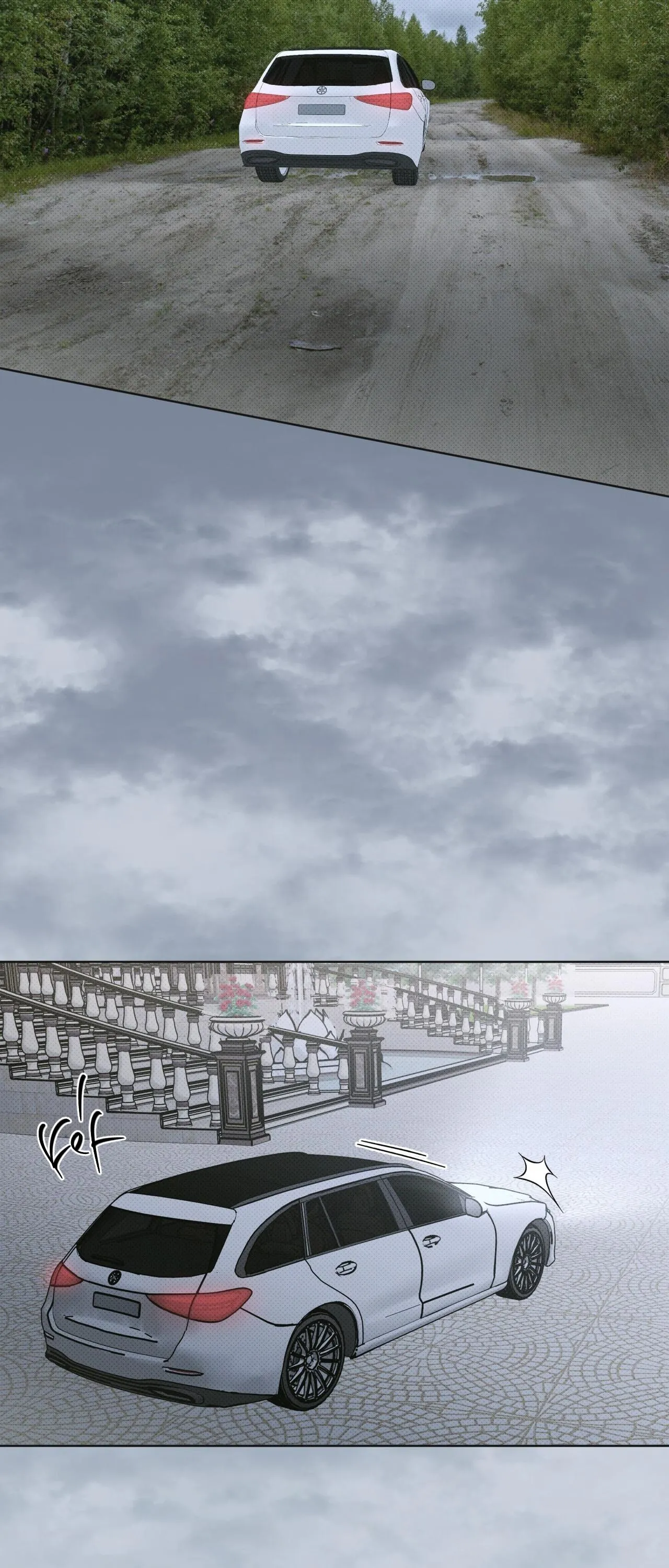 HÌNH THÁI TIẾN HÓA Chapter 15 Trang 11