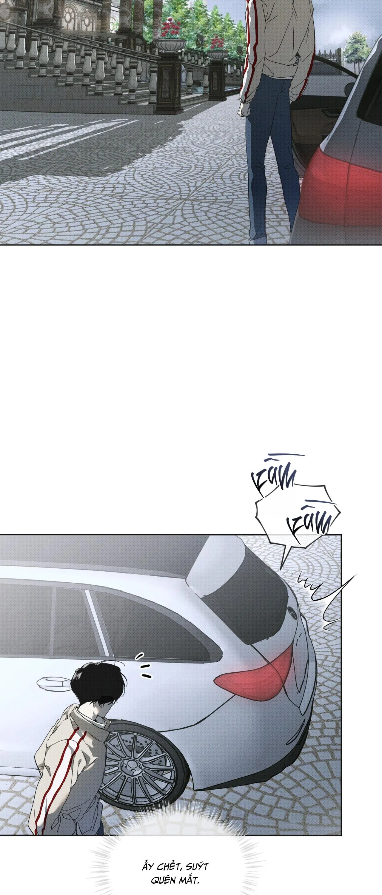 HÌNH THÁI TIẾN HÓA Chapter 15 Trang 13