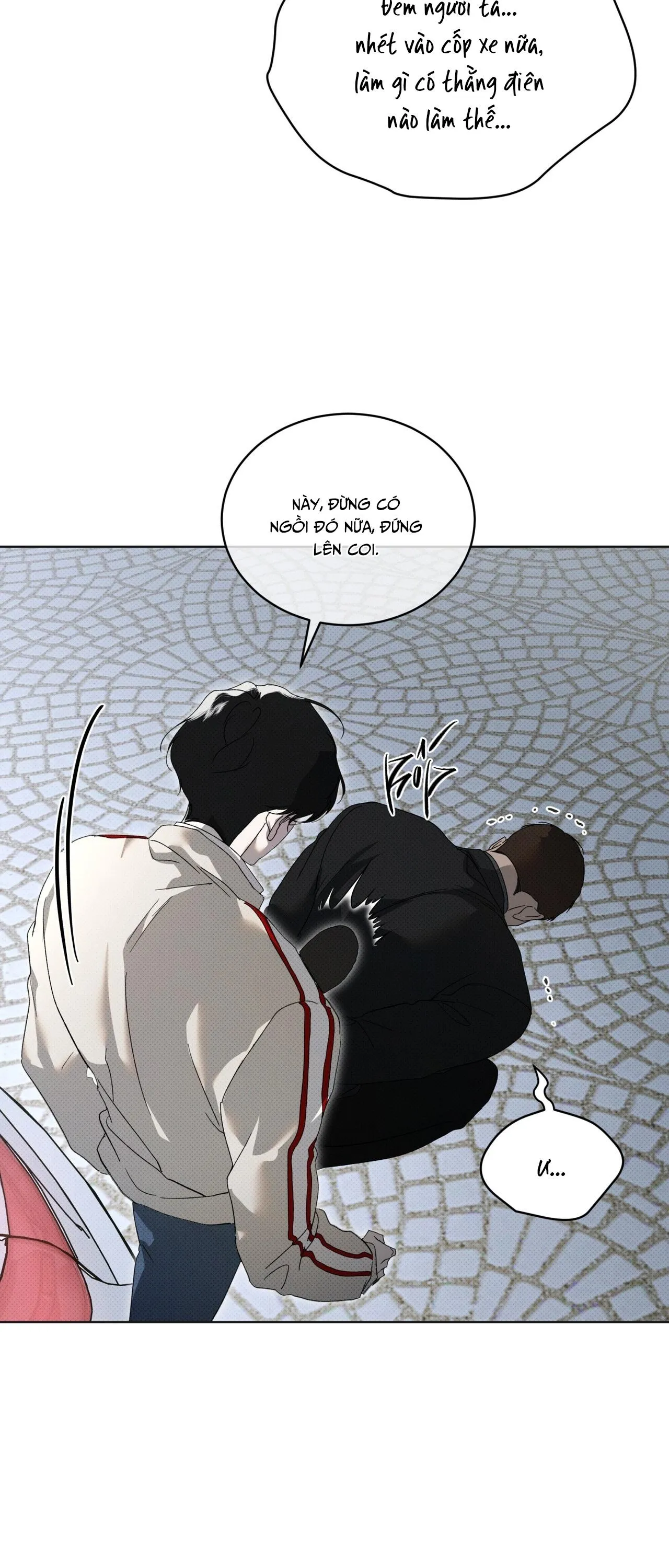 HÌNH THÁI TIẾN HÓA Chapter 15 Trang 17