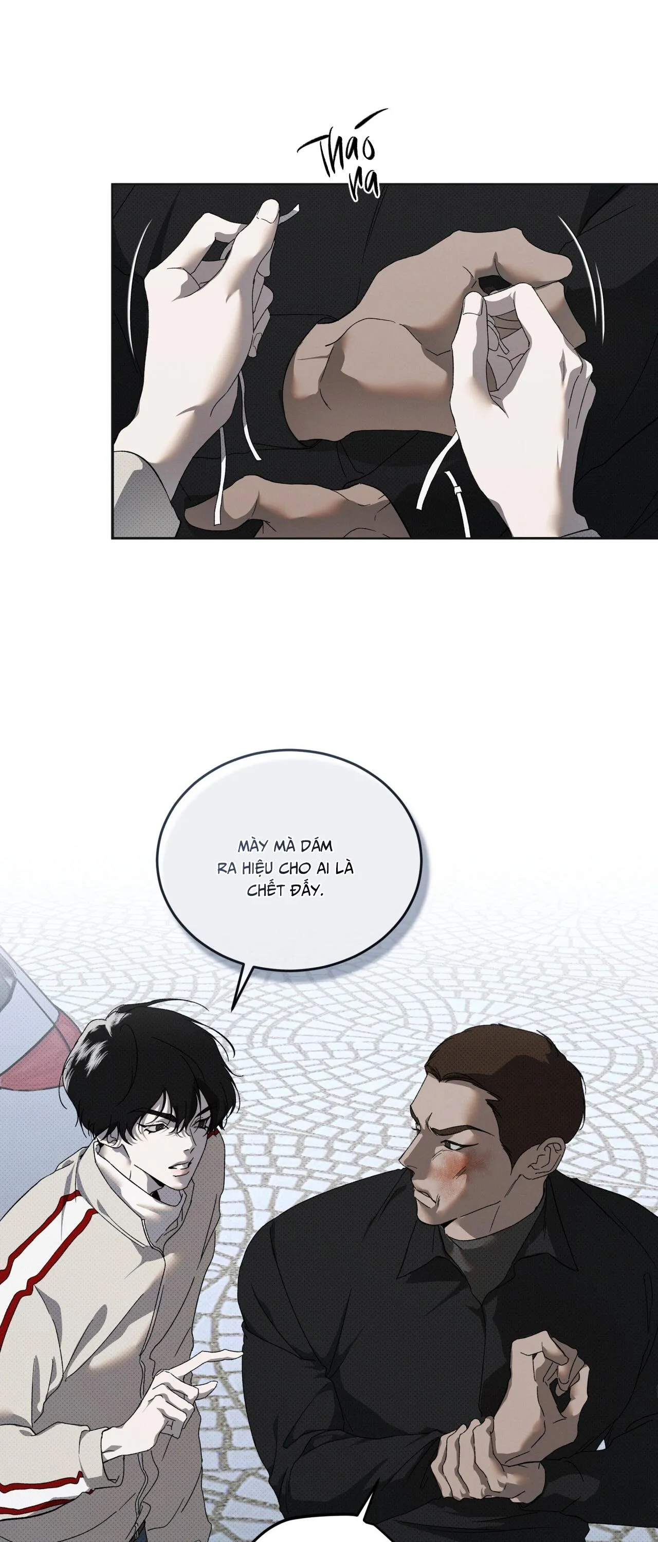 HÌNH THÁI TIẾN HÓA Chapter 15 Trang 18