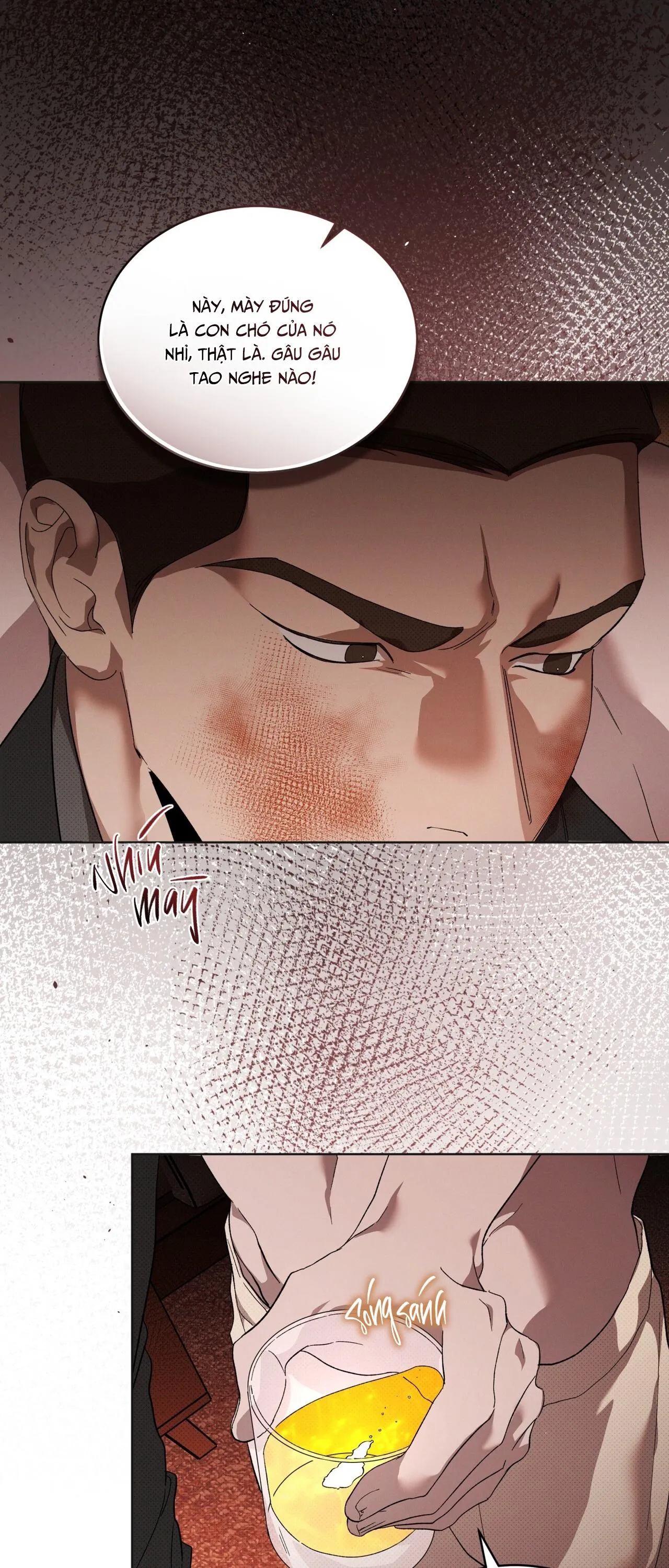 HÌNH THÁI TIẾN HÓA Chapter 15 Trang 40