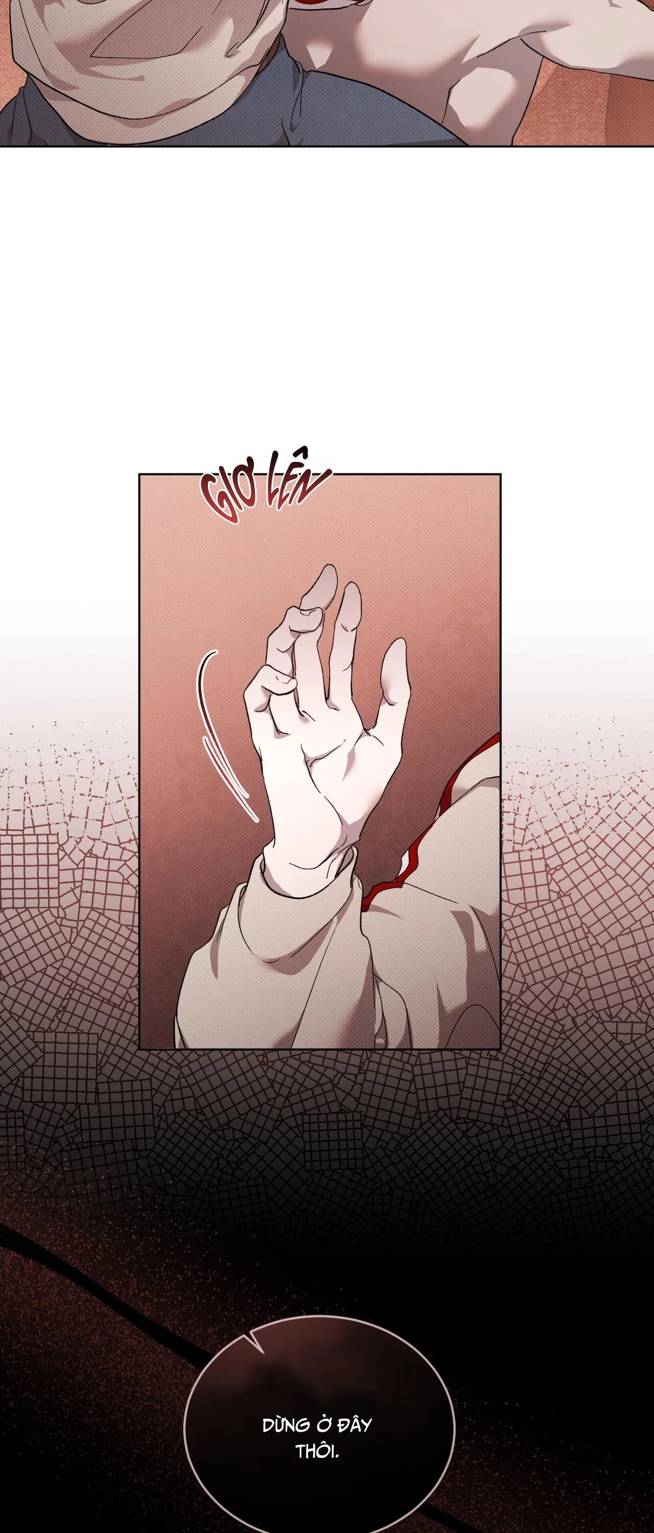 HÌNH THÁI TIẾN HÓA Chapter 16 Trang 36