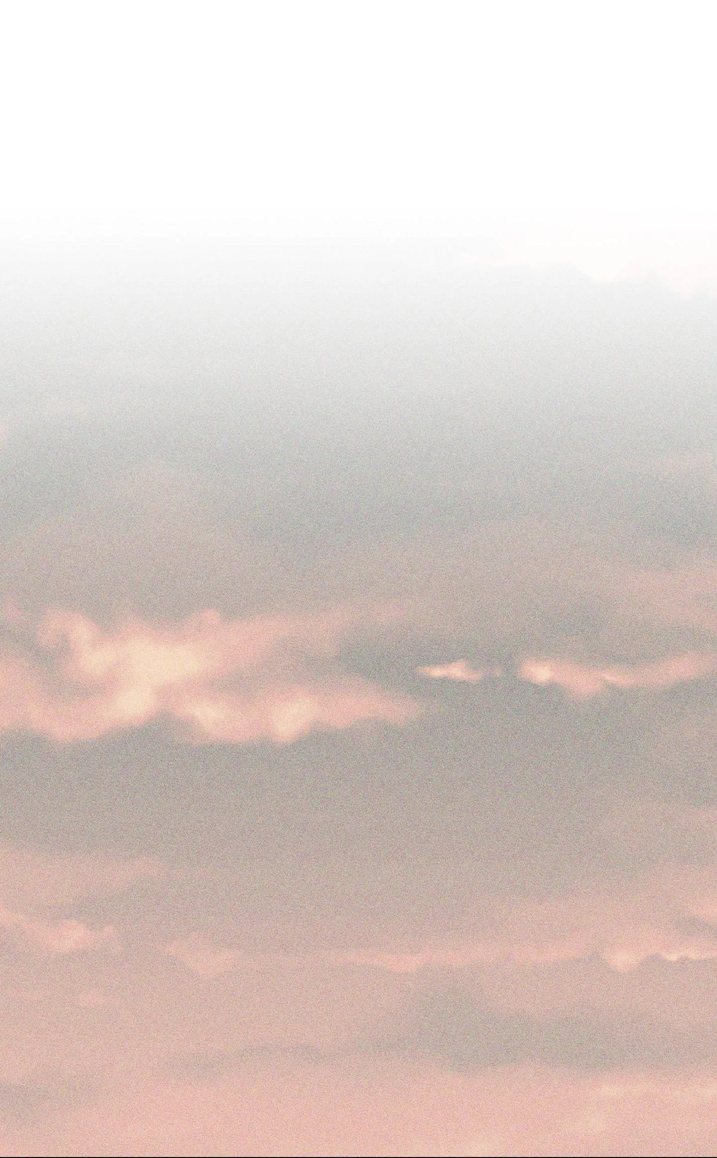 HÌNH THÁI TÌNH TAN Chapter 2 Trang 16