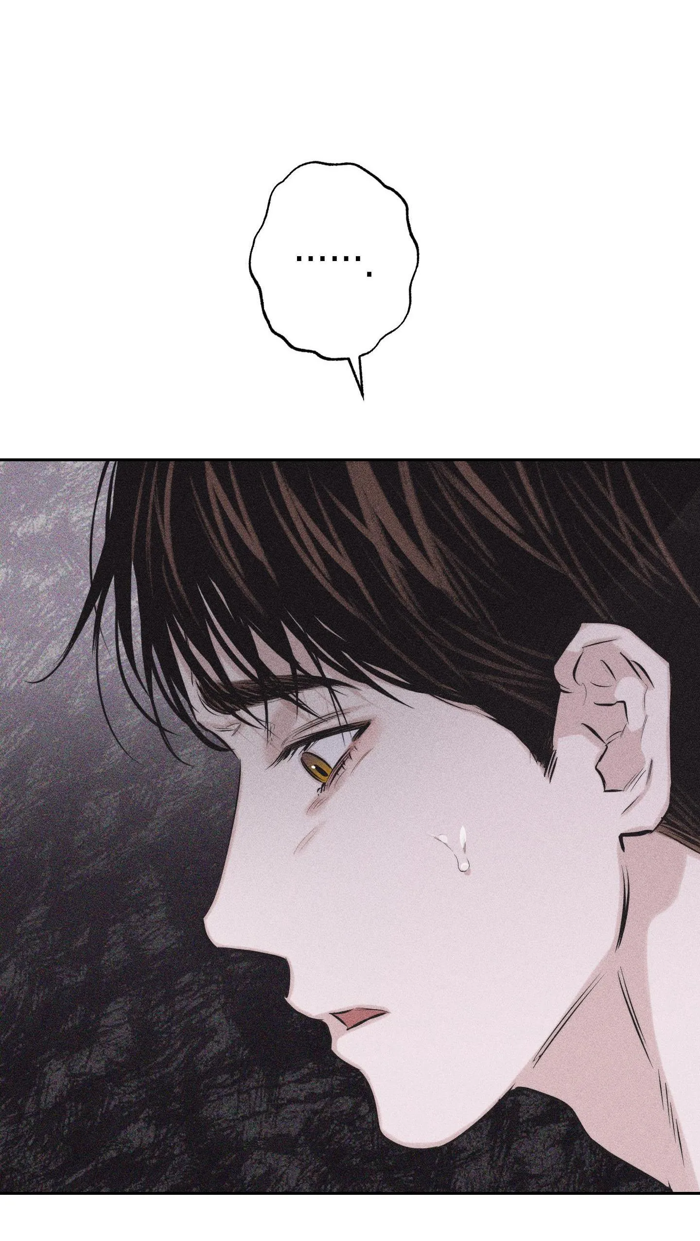 HÌNH THÁI TÌNH TAN Chapter 2 Trang 18