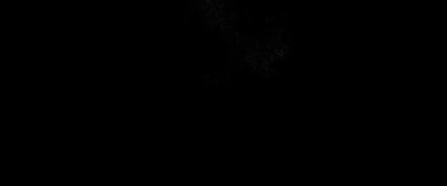 HÌNH THÁI TÌNH TAN Chapter 5 Trang 49