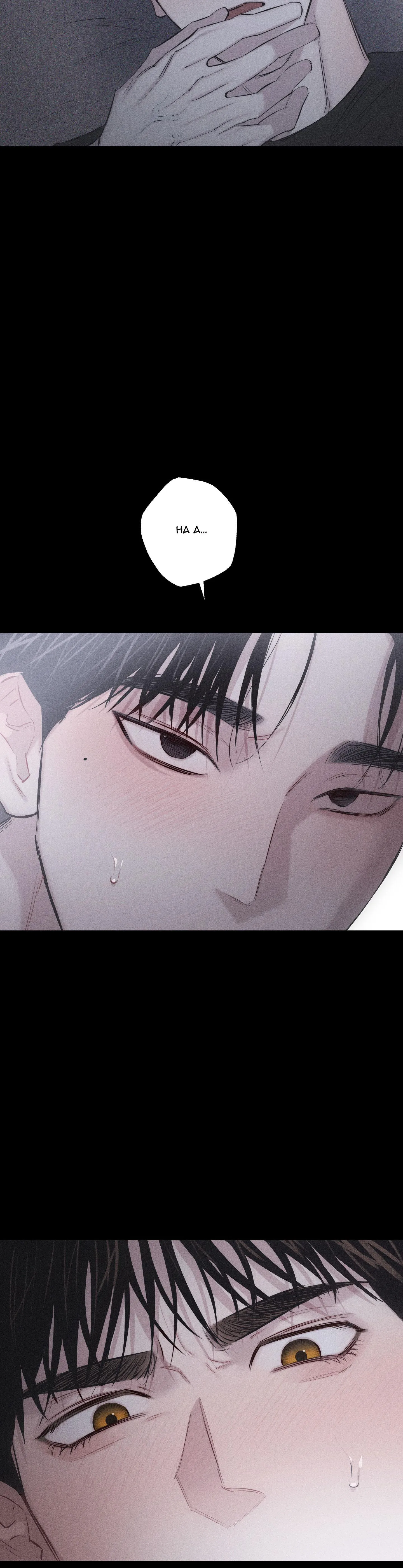 HÌNH THÁI TÌNH TAN Chapter 8 Trang 7