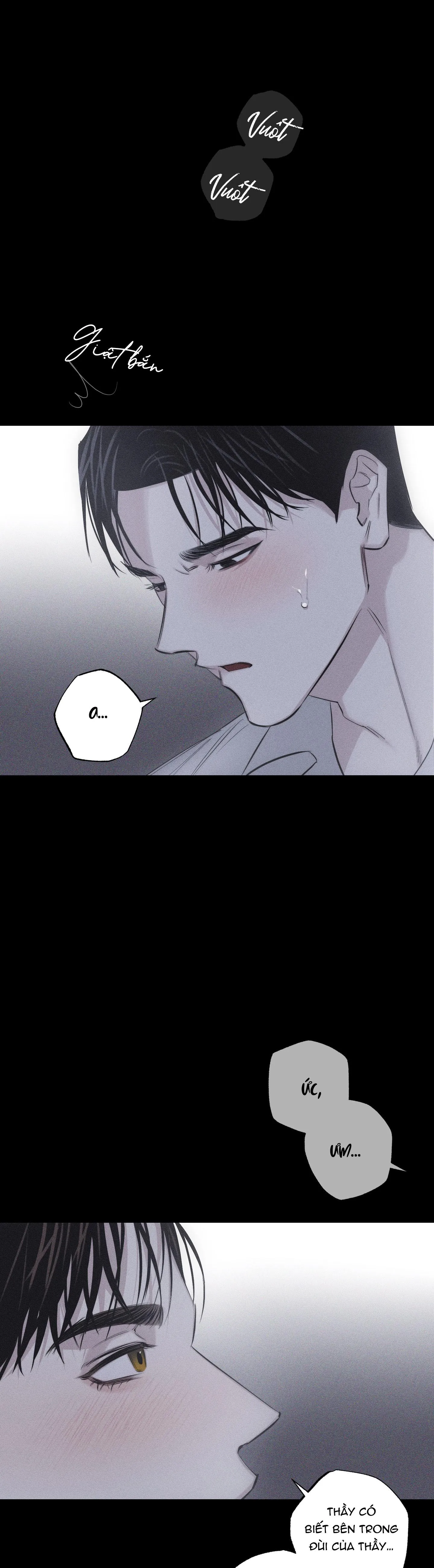 HÌNH THÁI TÌNH TAN Chapter 8 Trang 24