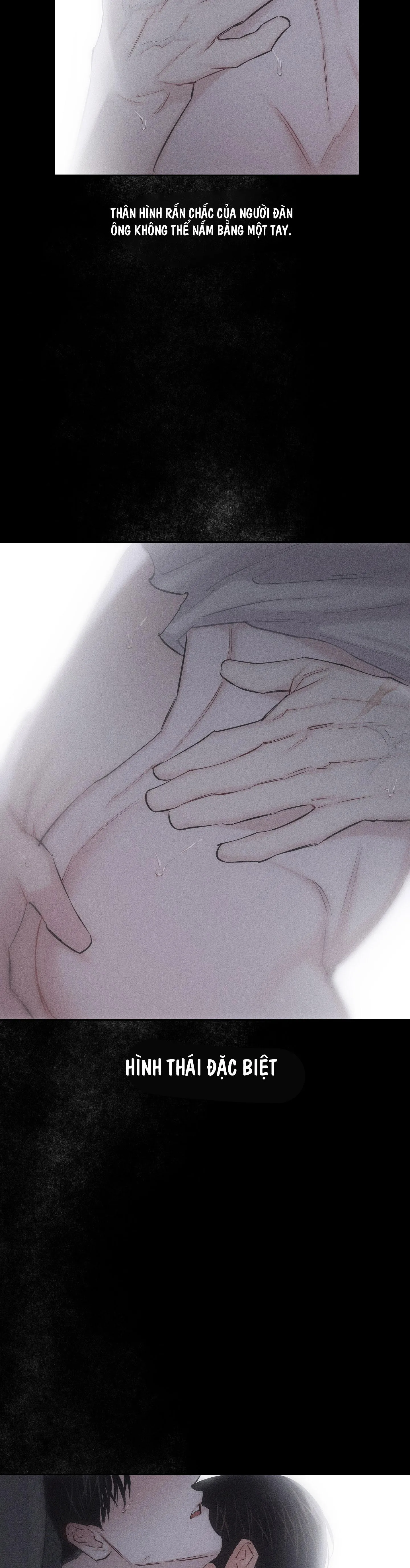 HÌNH THÁI TÌNH TAN Chapter 8 Trang 39