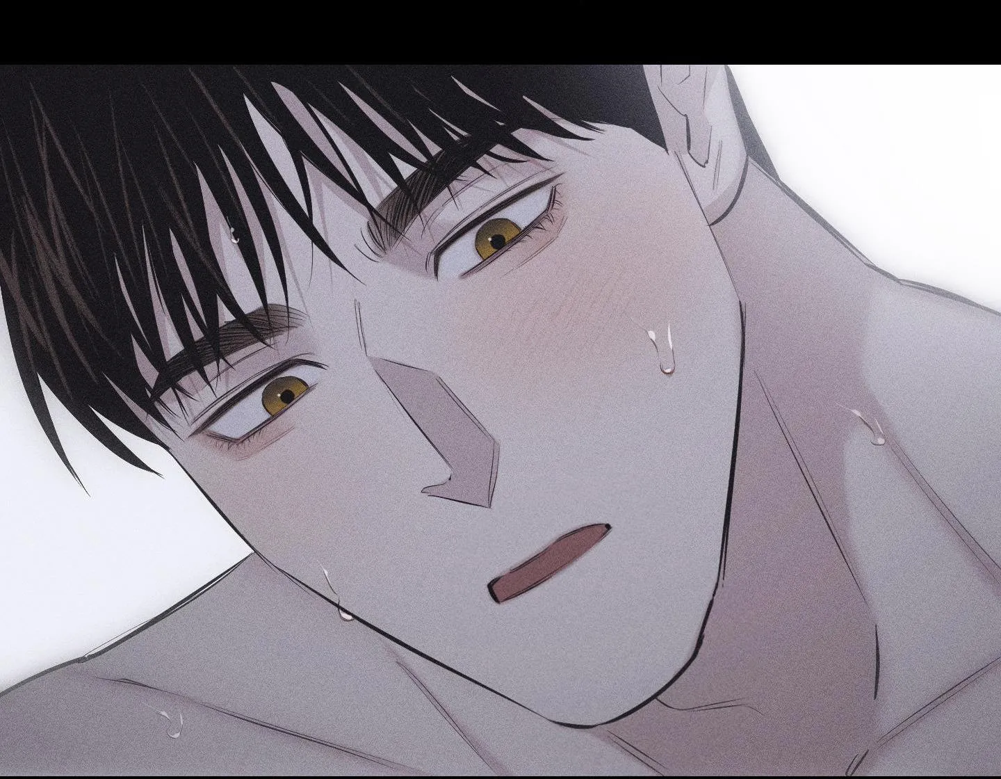 HÌNH THÁI TÌNH TAN Chapter 9 Trang 56