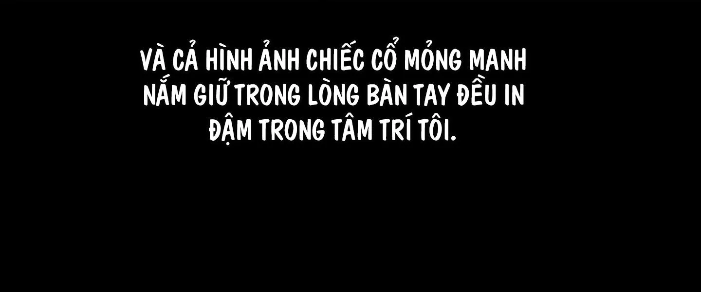 HÌNH THÁI TÌNH TAN Chapter 9 Trang 121