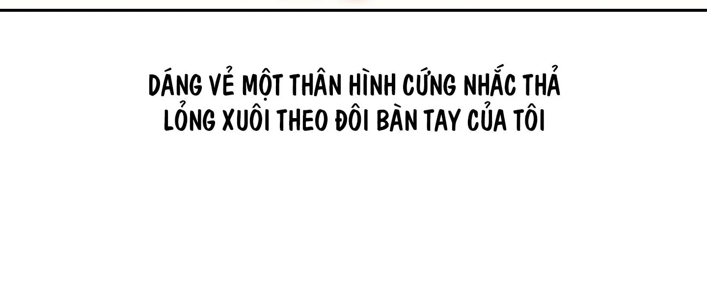 HÌNH THÁI TÌNH TAN Chapter 9 Trang 146
