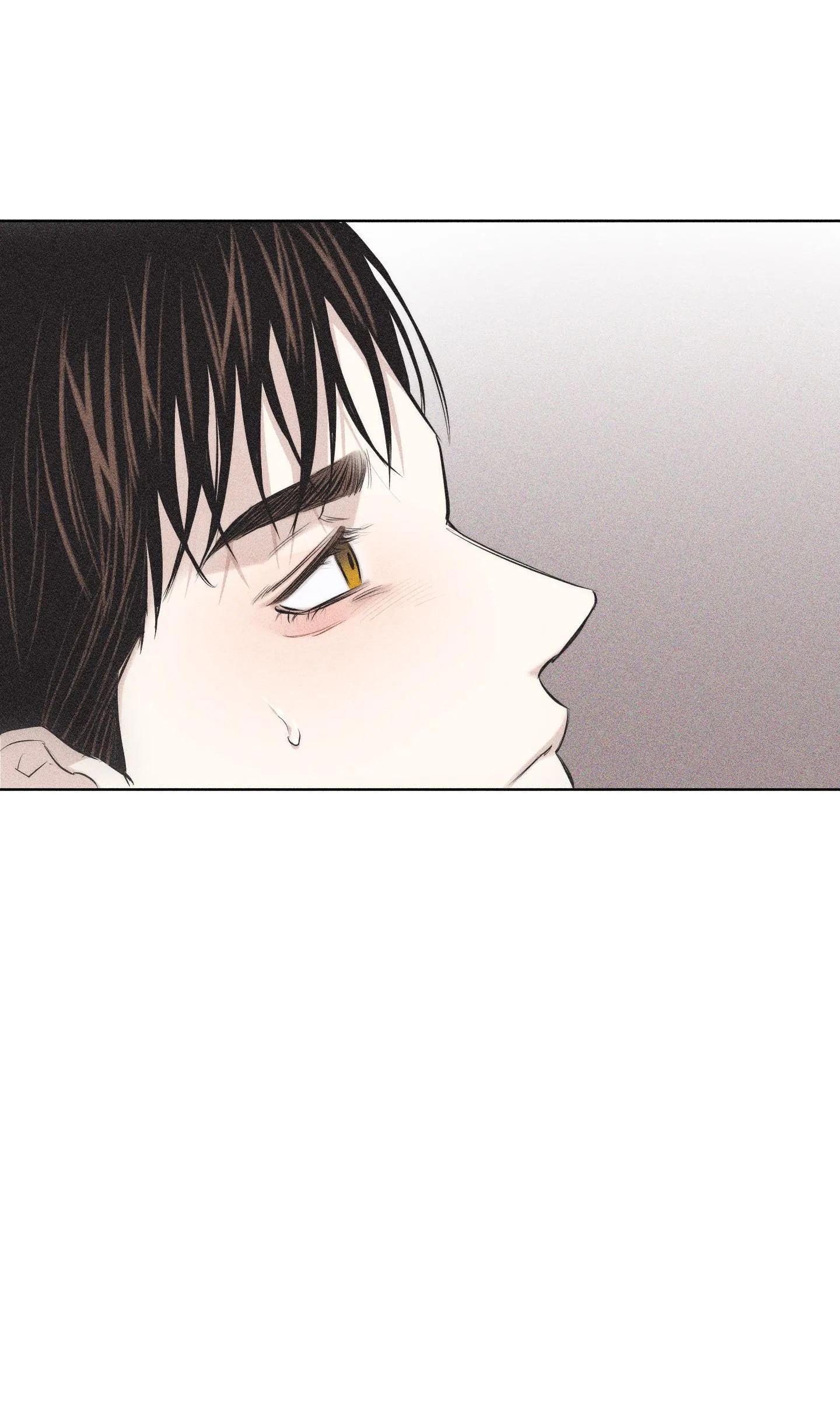 HÌNH THÁI TÌNH TAN Chapter 10 Trang 27