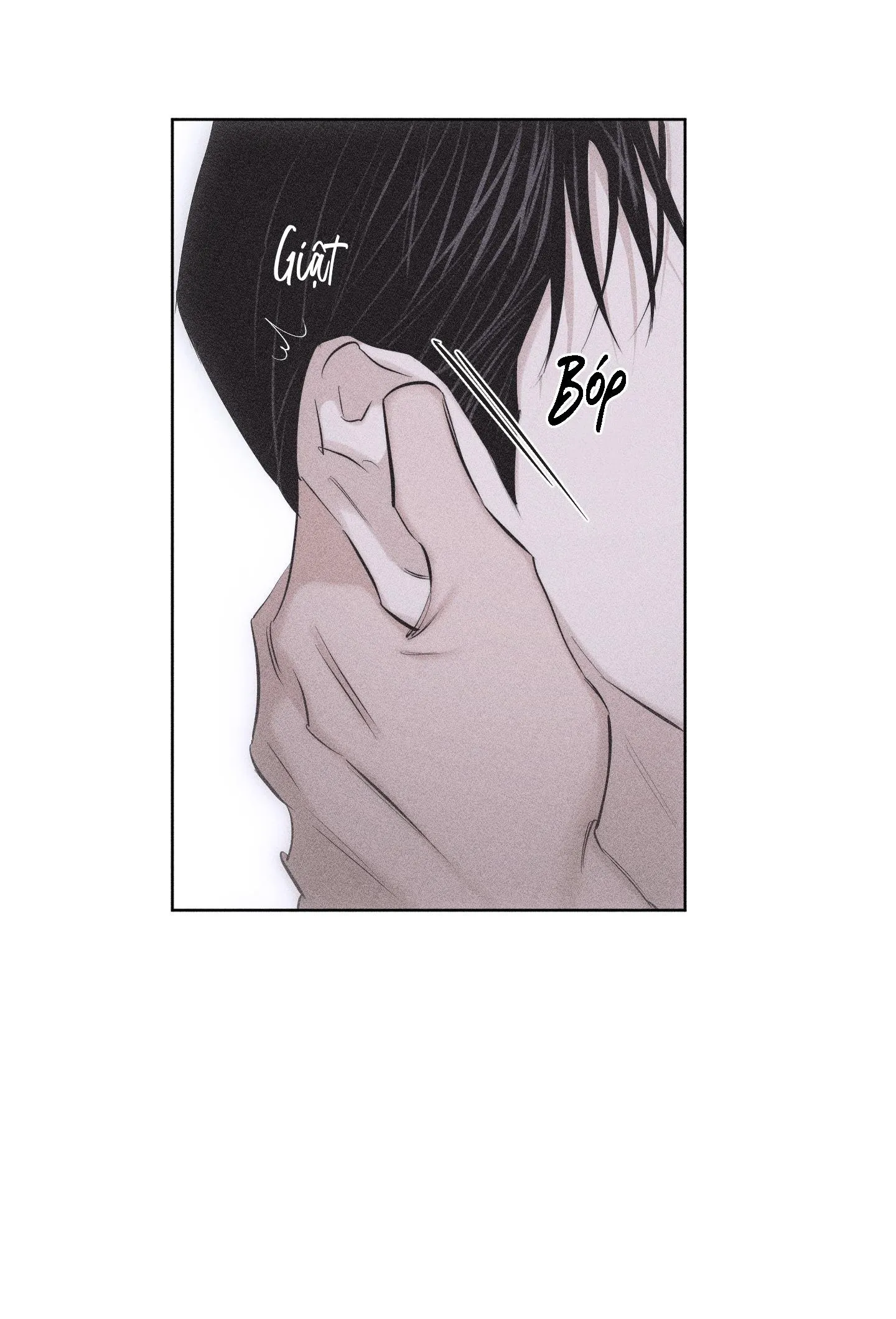 HÌNH THÁI TÌNH TAN Chapter 10 Trang 47