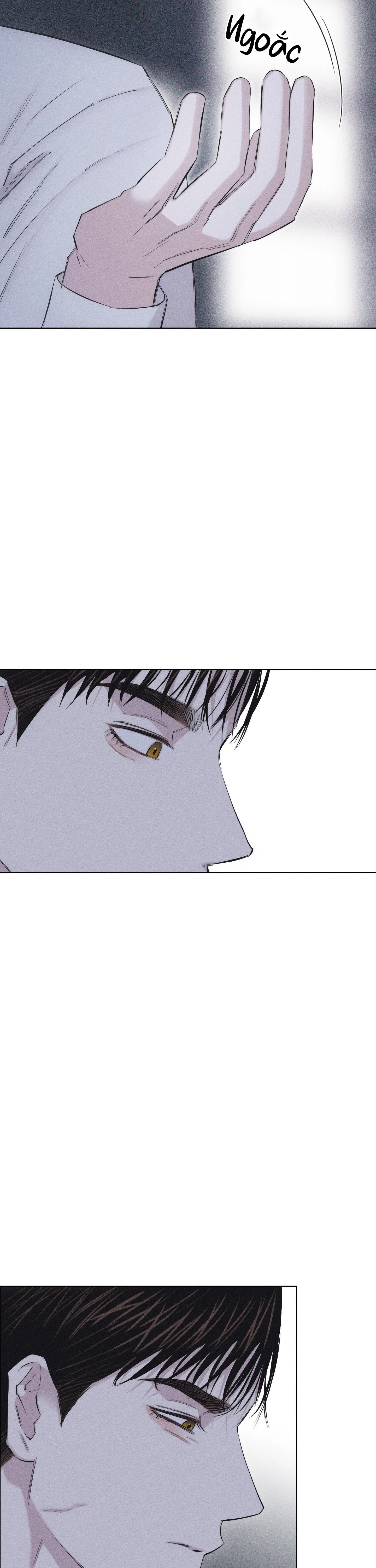 HÌNH THÁI TÌNH TAN Chapter 13 Trang 16