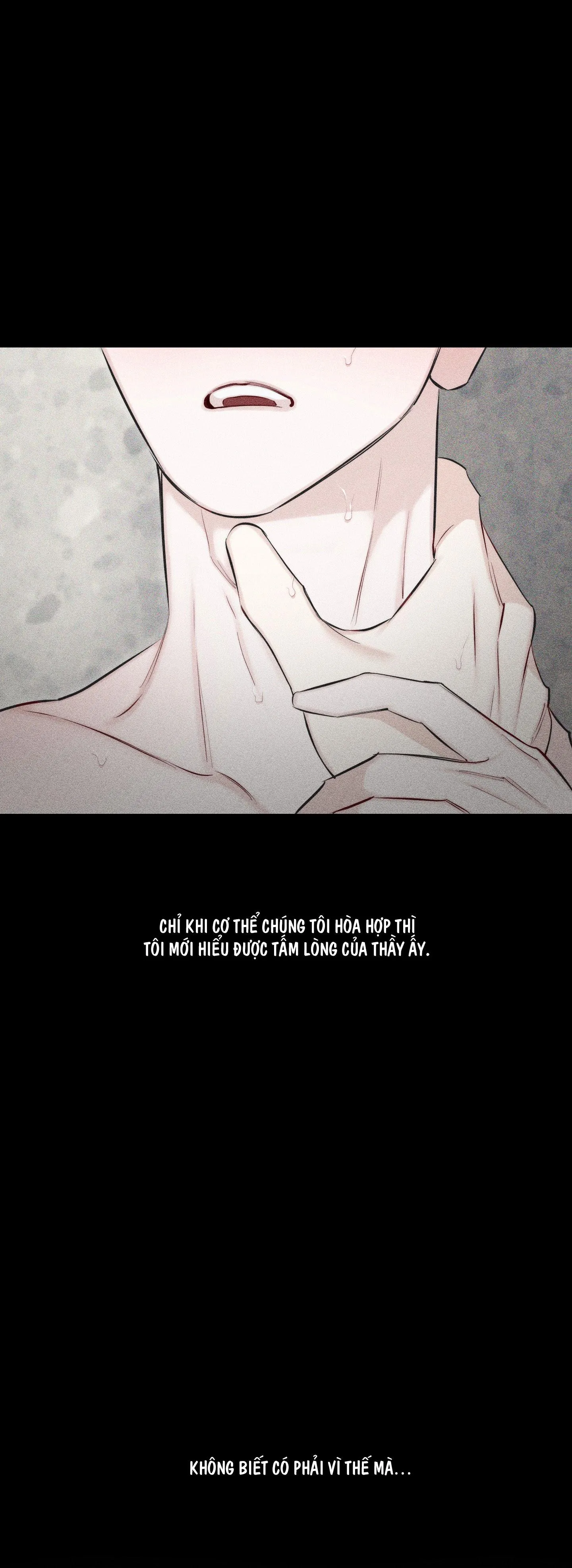 HÌNH THÁI TÌNH TAN Chapter 15 Trang 46