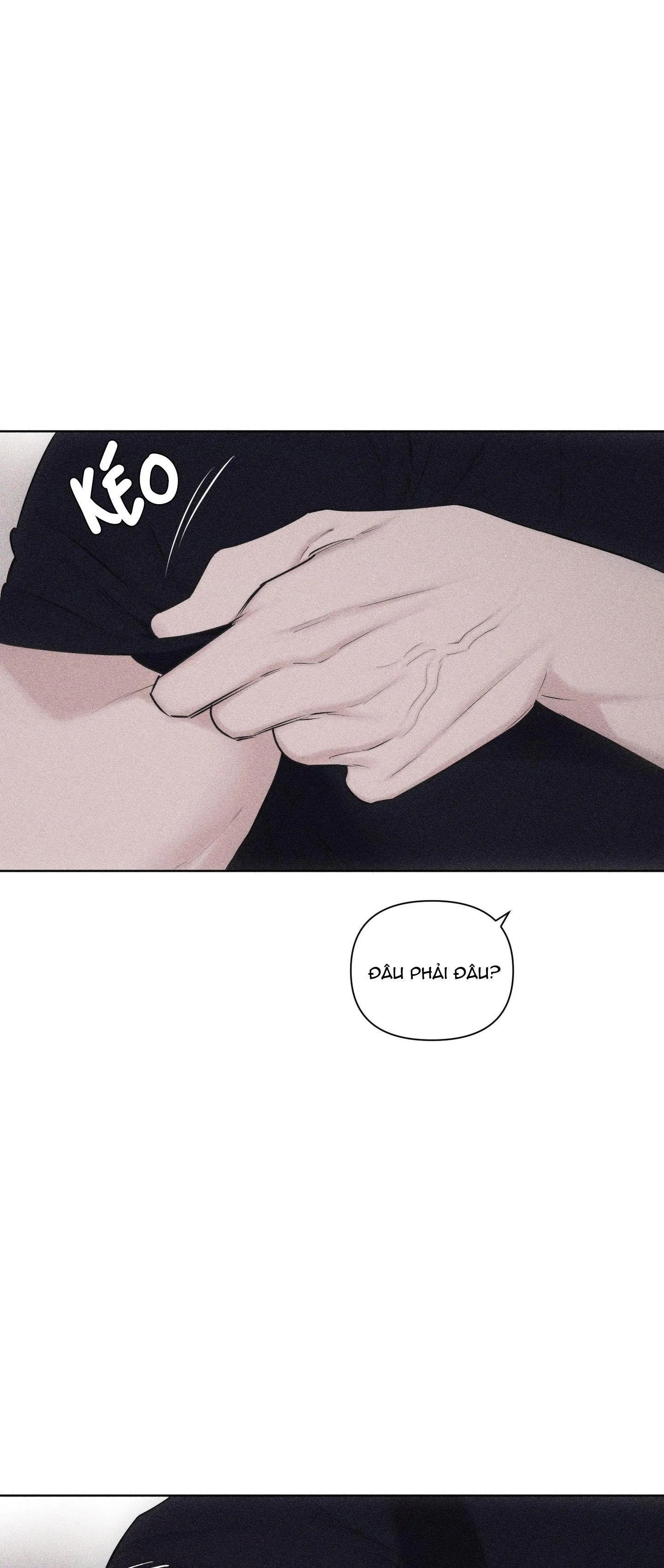 HÌNH THÁI TÌNH TAN Chapter 17 Trang 46