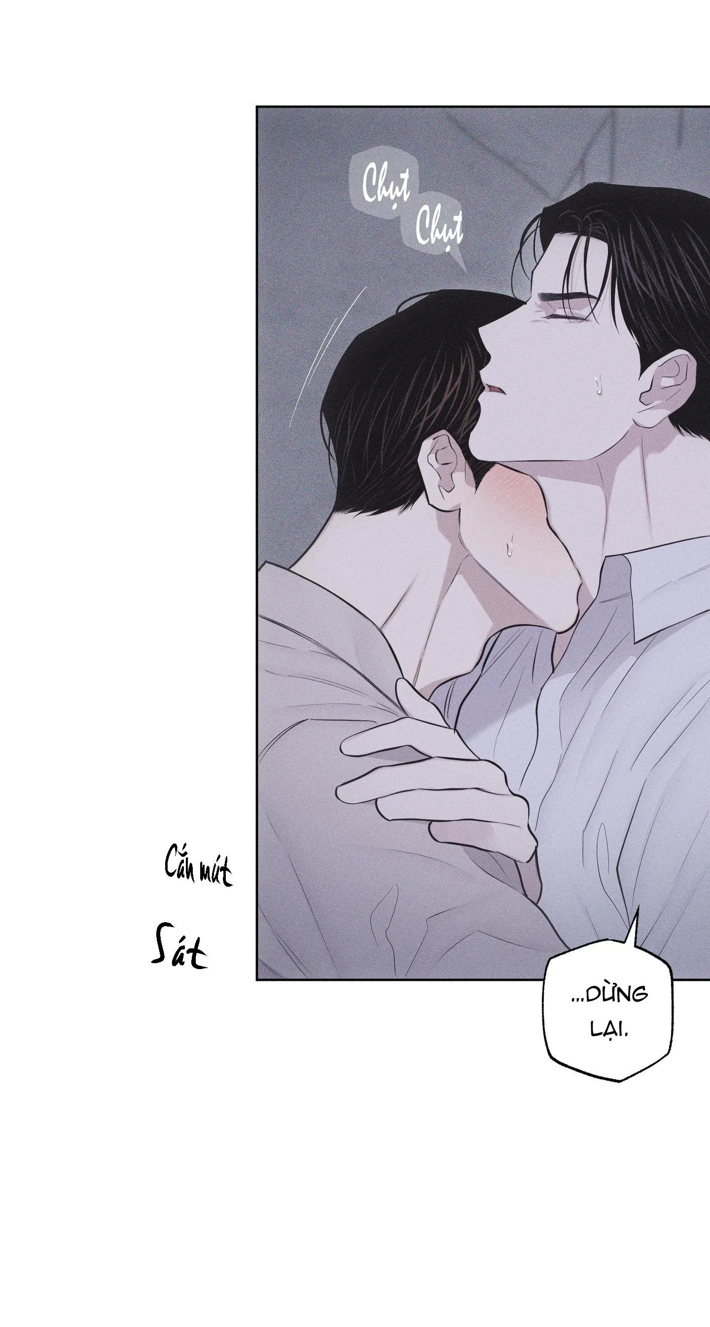 HÌNH THÁI TÌNH TAN Chapter 23 Trang 13