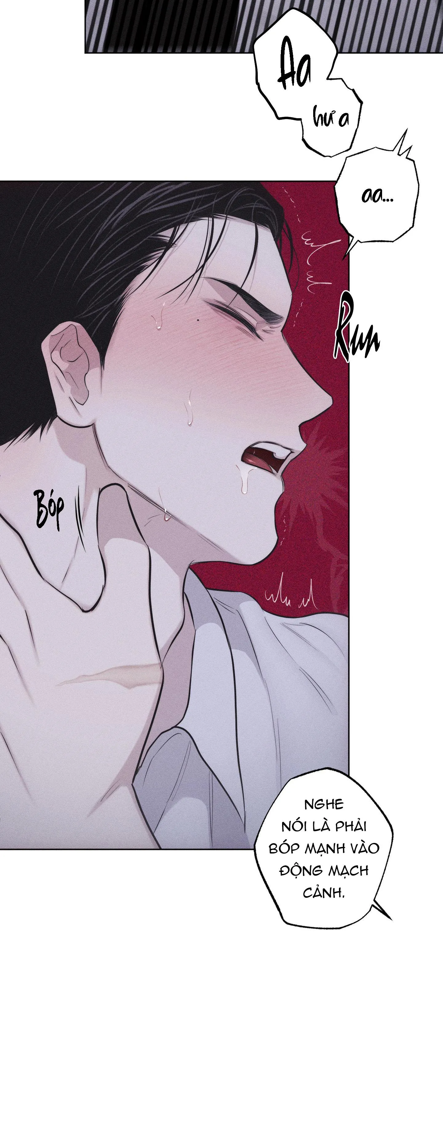 HÌNH THÁI TÌNH TAN Chapter 23 Trang 52