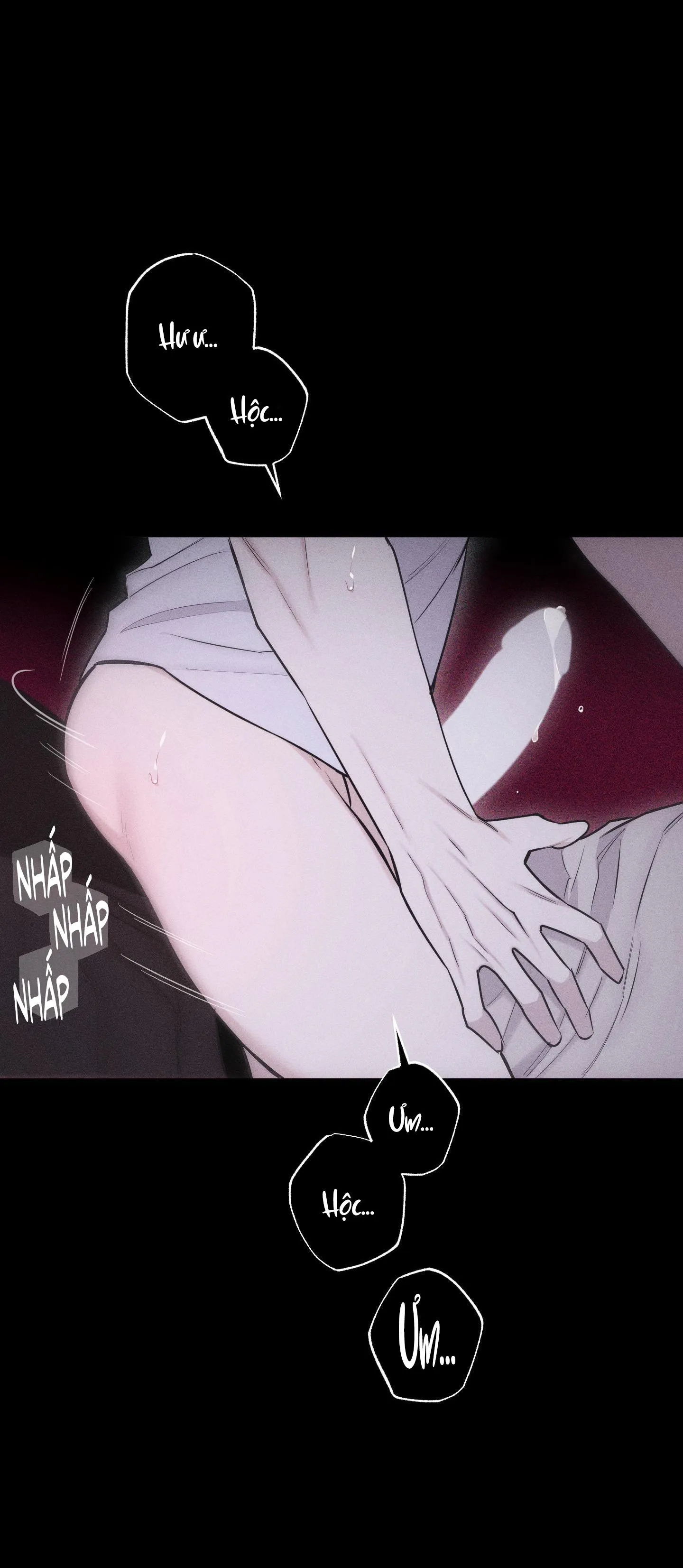 HÌNH THÁI TÌNH TAN Chapter 24 Trang 17