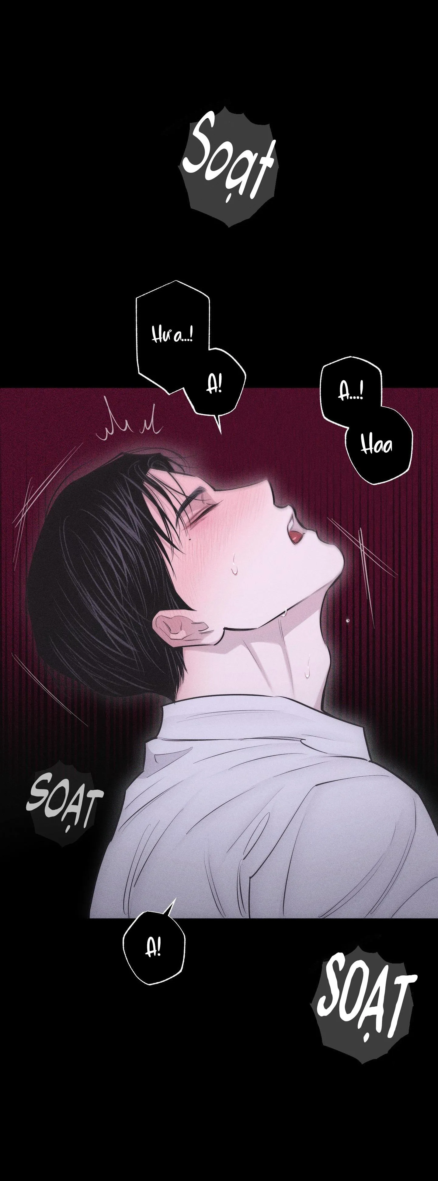 HÌNH THÁI TÌNH TAN Chapter 24 Trang 18