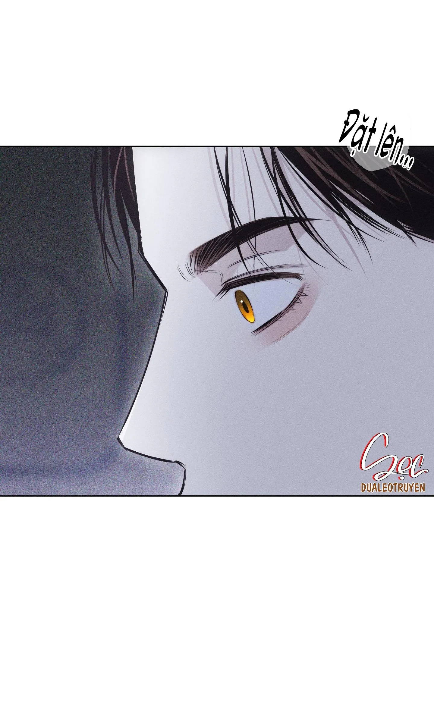 HÌNH THÁI TÌNH TAN Chapter 24 Trang 22