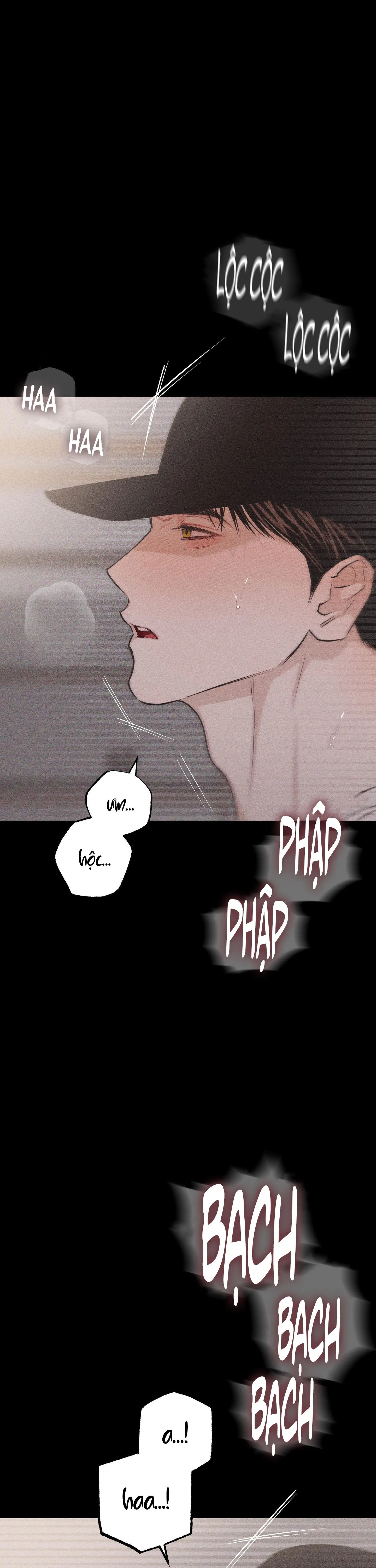 HÌNH THÁI TÌNH TAN Chapter 26 Trang 33