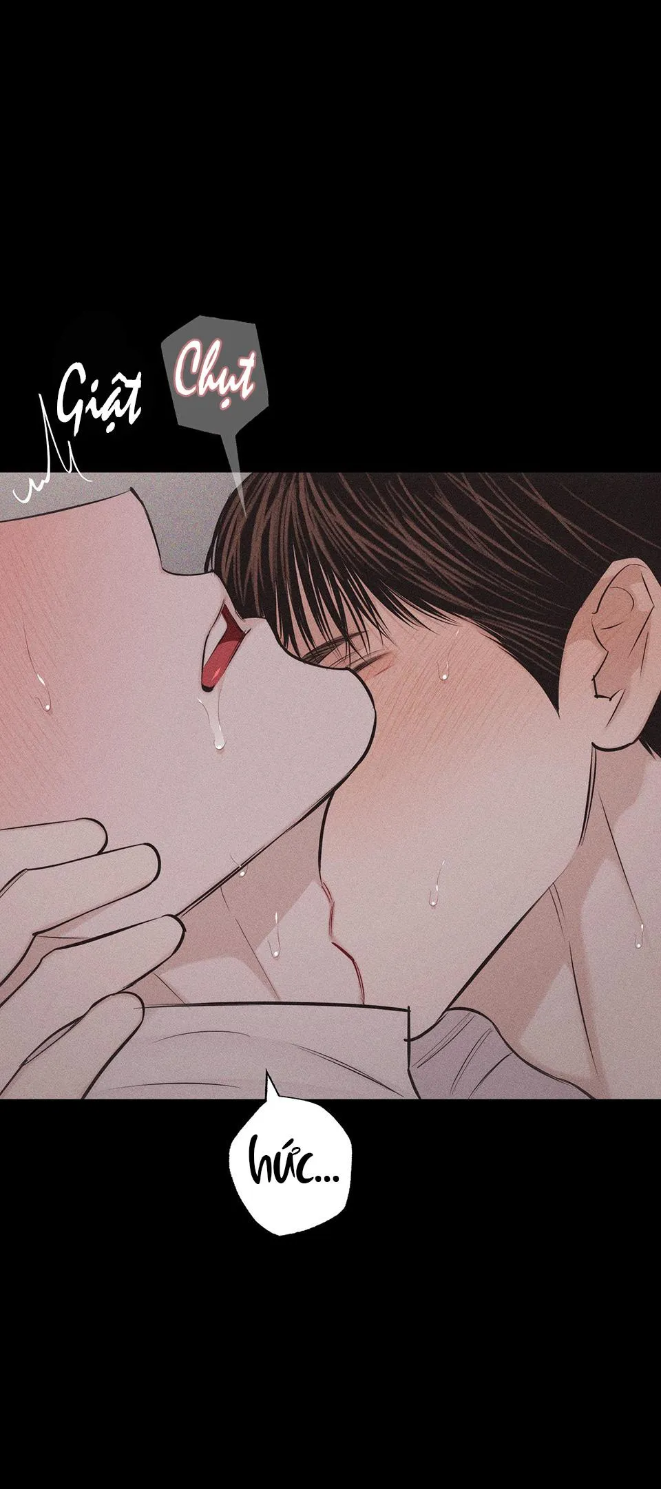 HÌNH THÁI TÌNH TAN Chapter 27 Trang 29