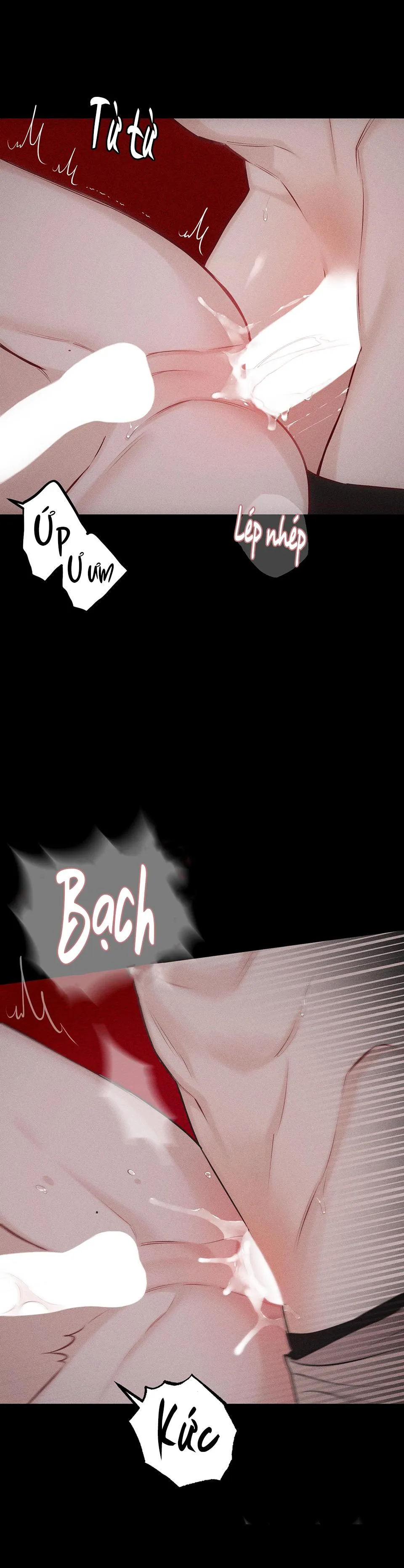 HÌNH THÁI TÌNH TAN Chapter 27 Trang 40