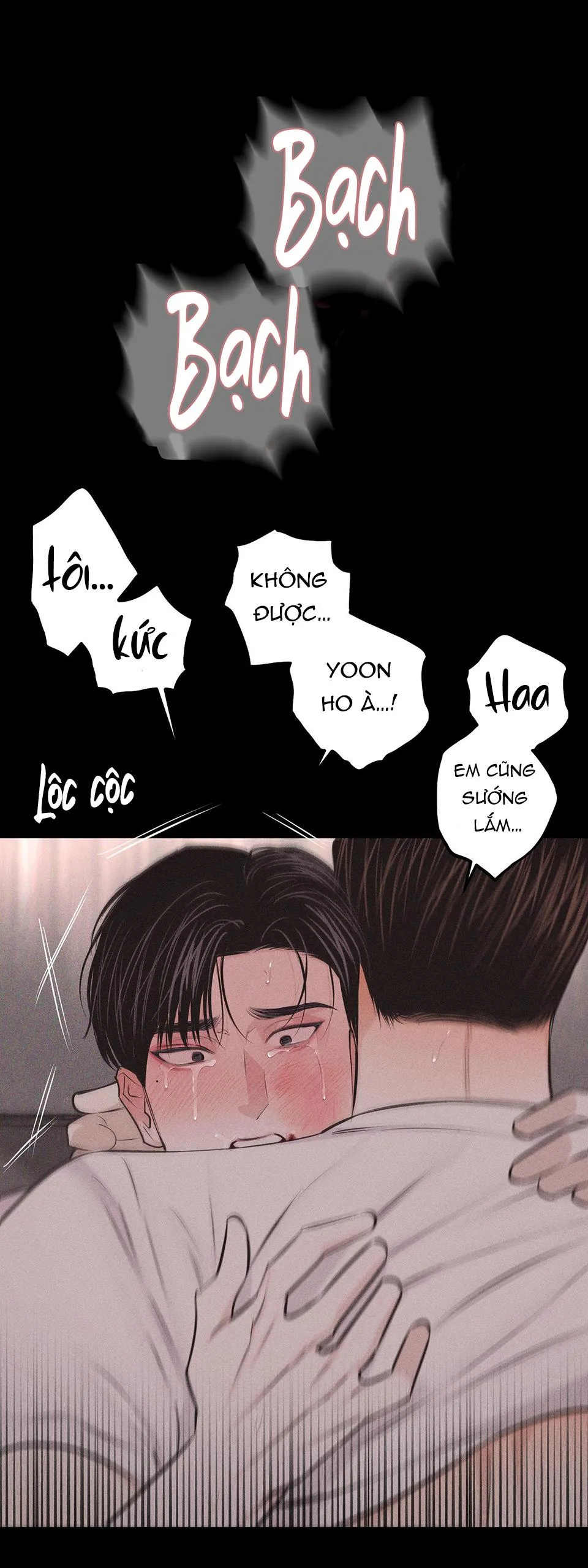 HÌNH THÁI TÌNH TAN Chapter 27 Trang 41