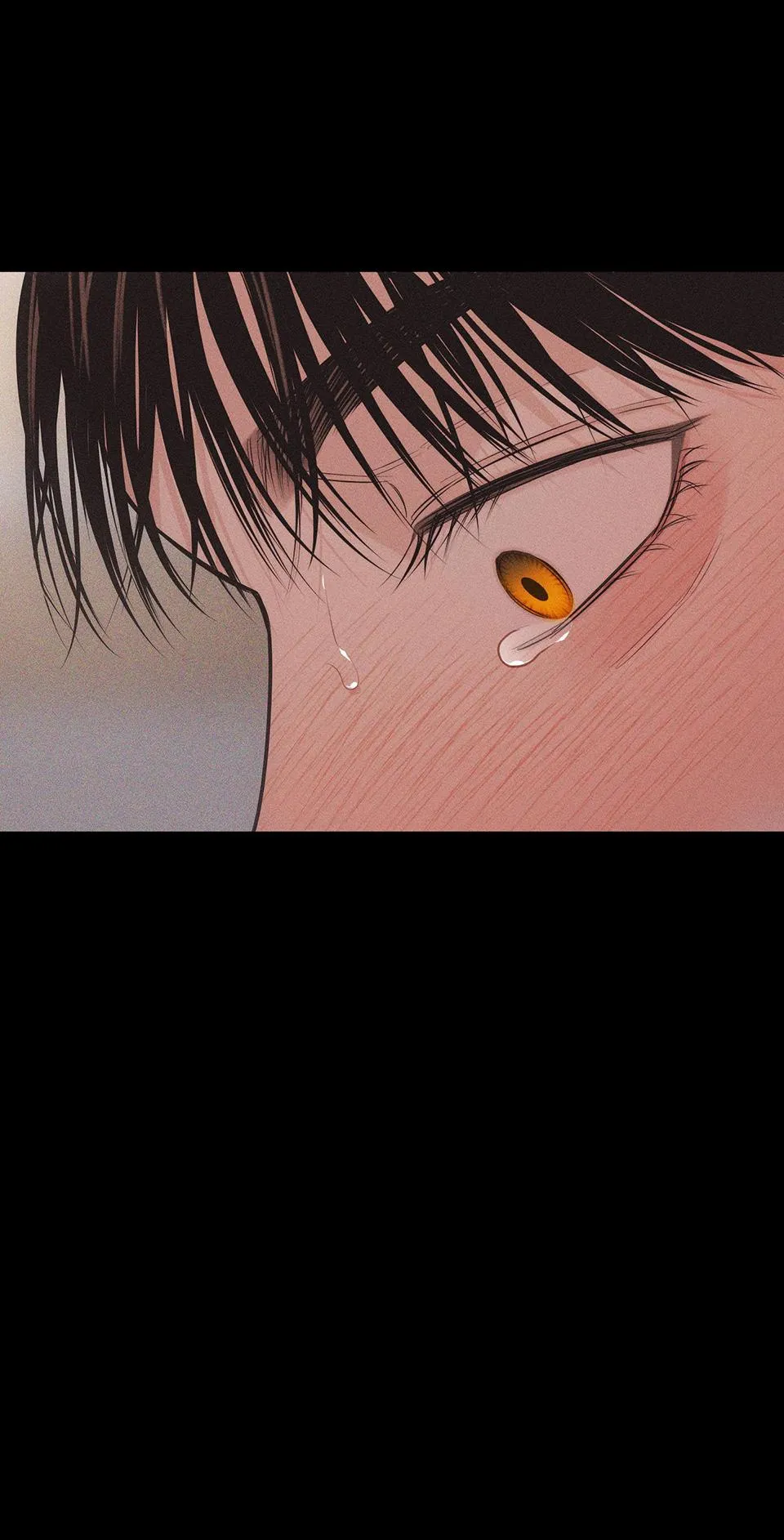 HÌNH THÁI TÌNH TAN Chapter 27 Trang 55