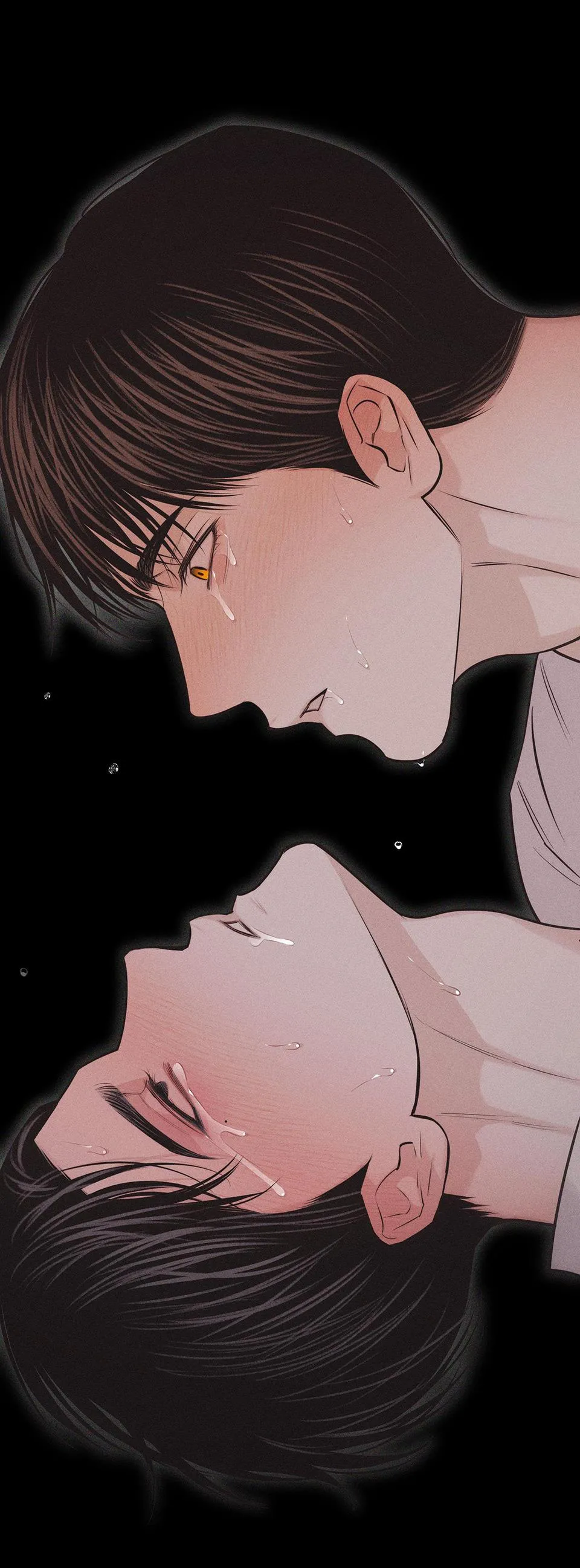 HÌNH THÁI TÌNH TAN Chapter 27 Trang 56