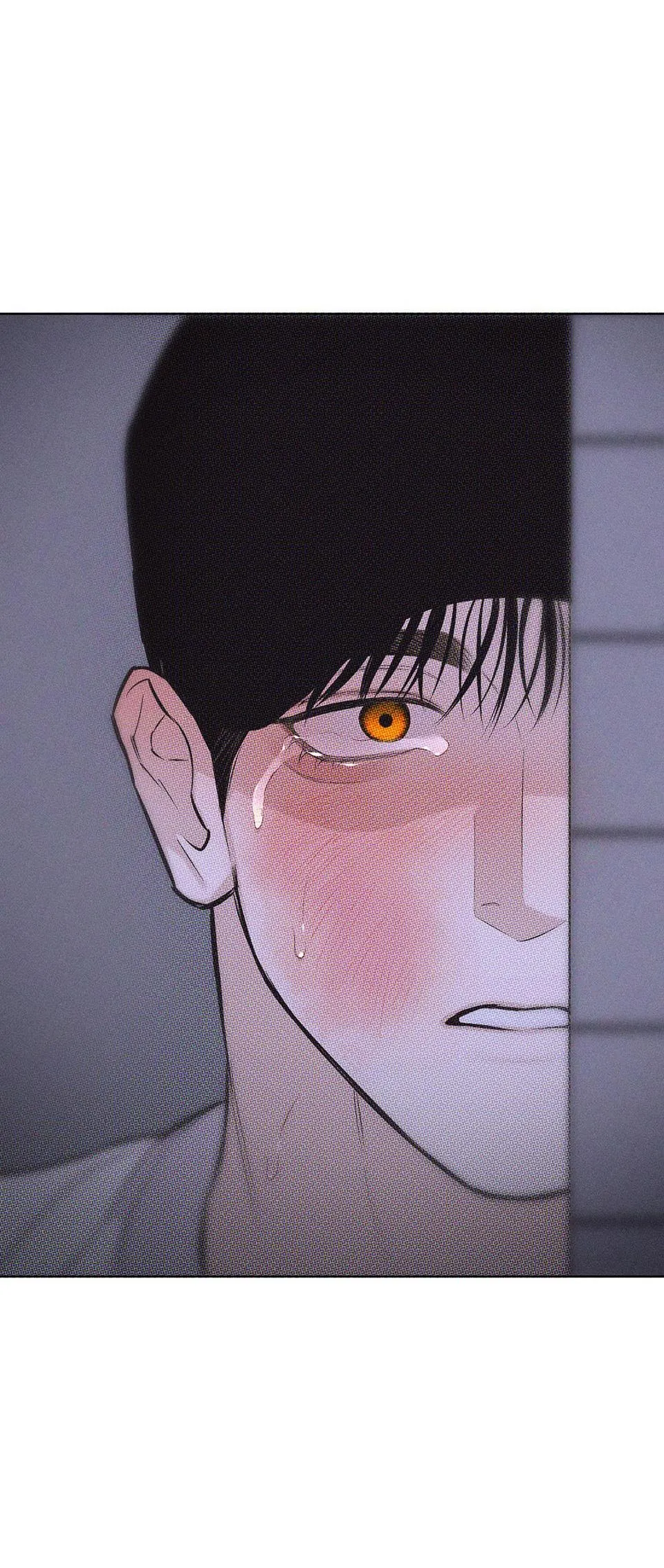 HÌNH THÁI TÌNH TAN Chapter 28 Trang 29