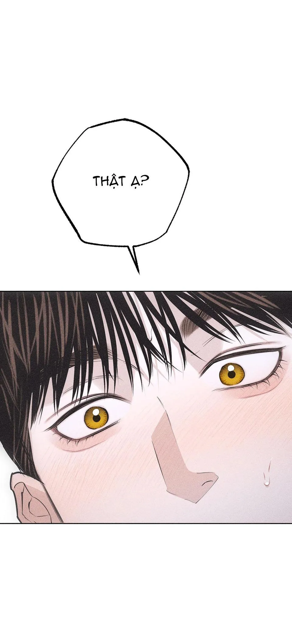 HÌNH THÁI TÌNH TAN Chapter 28 Trang 76