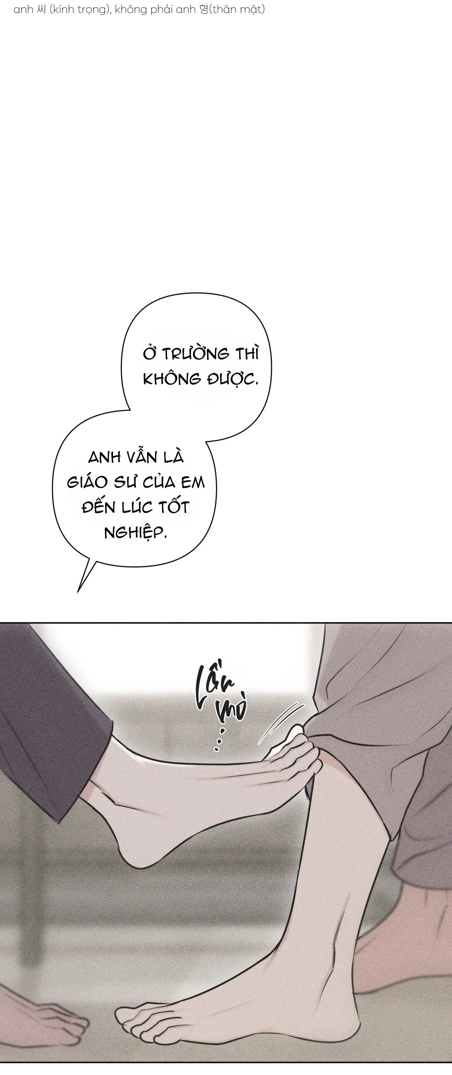 HÌNH THÁI TÌNH TAN Chapter 29 Trang 32