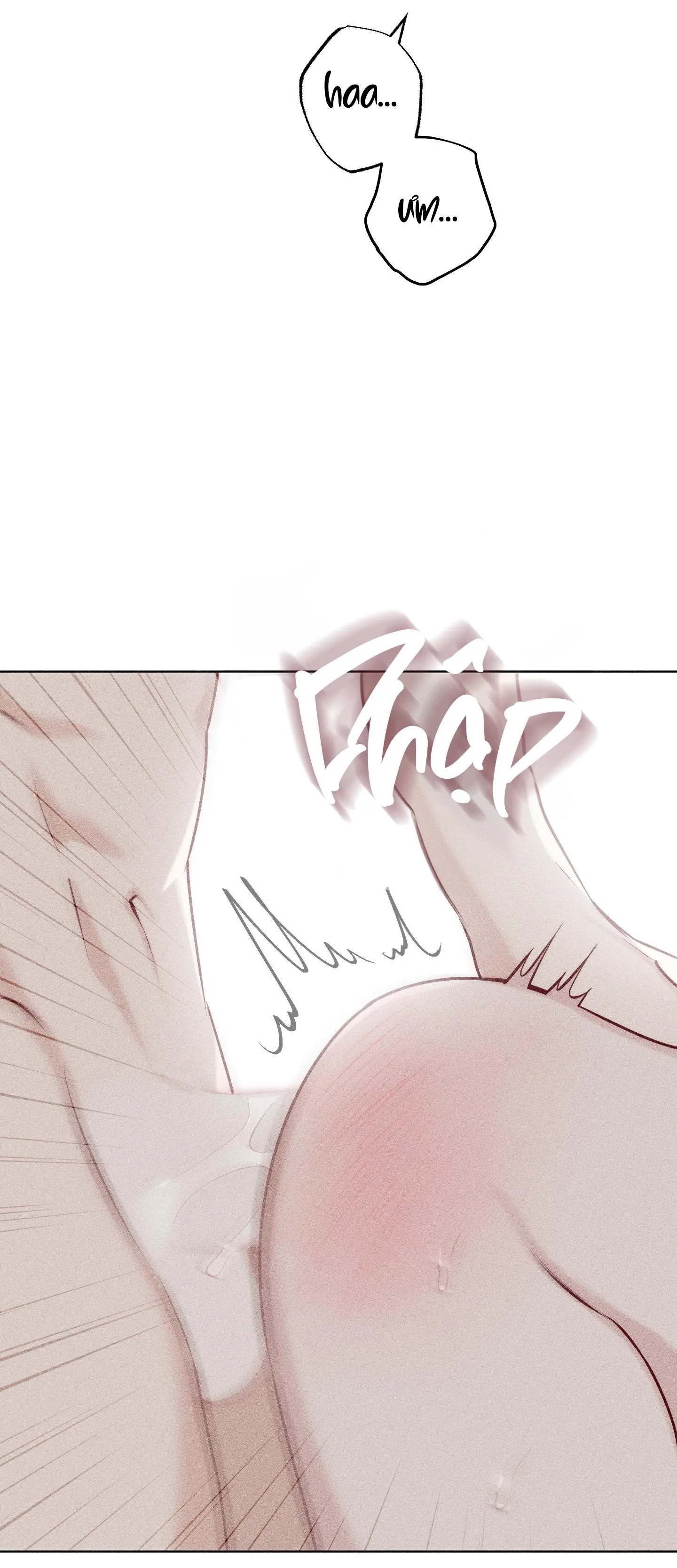 HÌNH THÁI TÌNH TAN Chapter 29 Trang 42