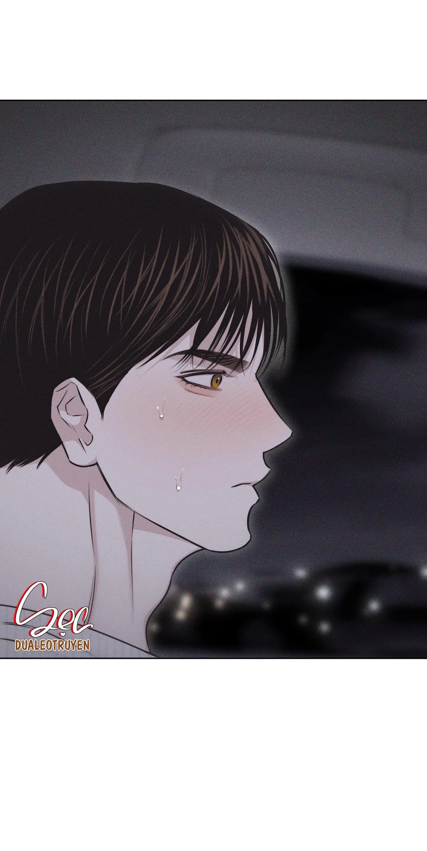 HÌNH THÁI TÌNH TAN Chapter 29 Trang 53