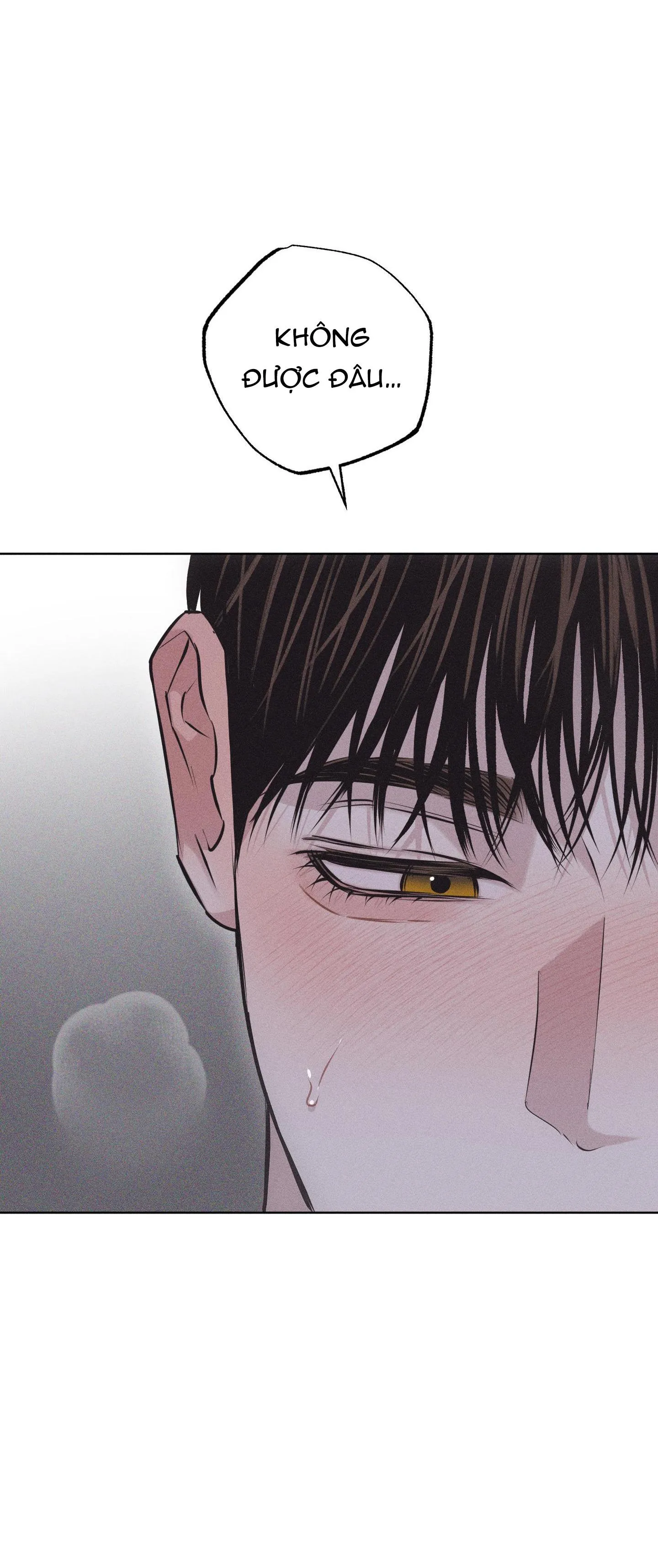 HÌNH THÁI TÌNH TAN Chapter 29 Trang 66