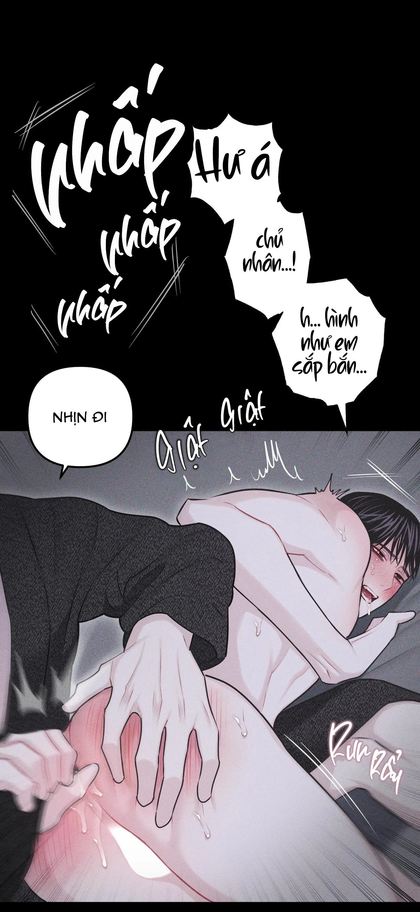 HÌNH THÁI TÌNH TAN Chapter 30 Trang 42