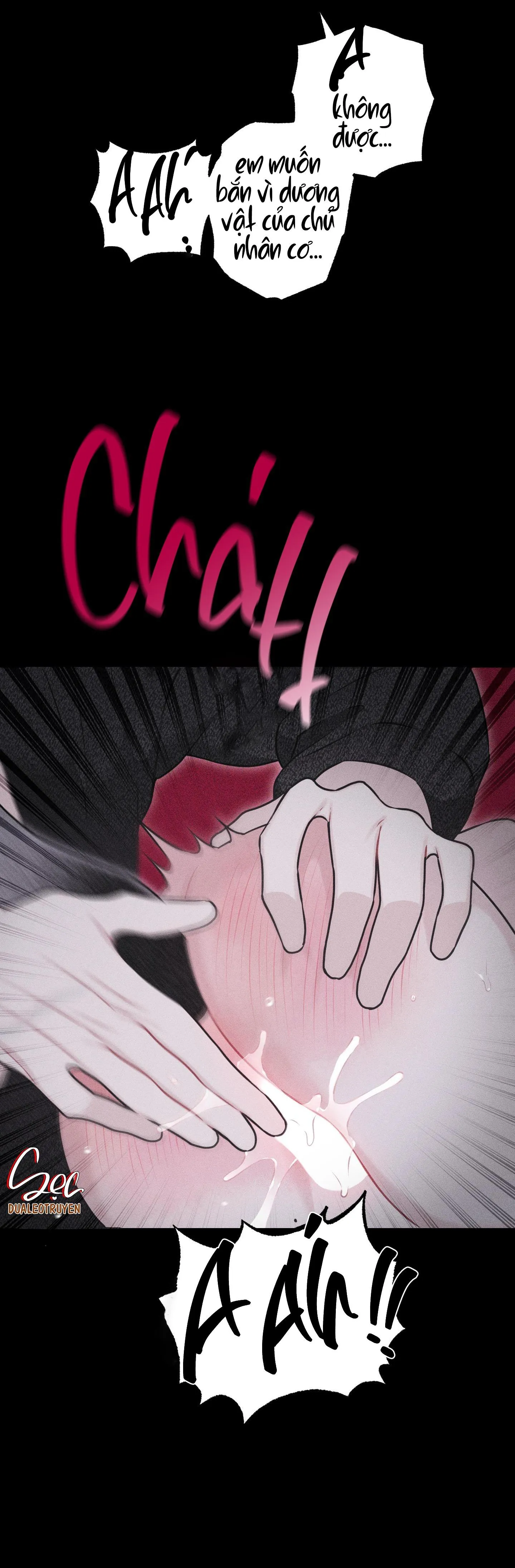HÌNH THÁI TÌNH TAN Chapter 30 Trang 43