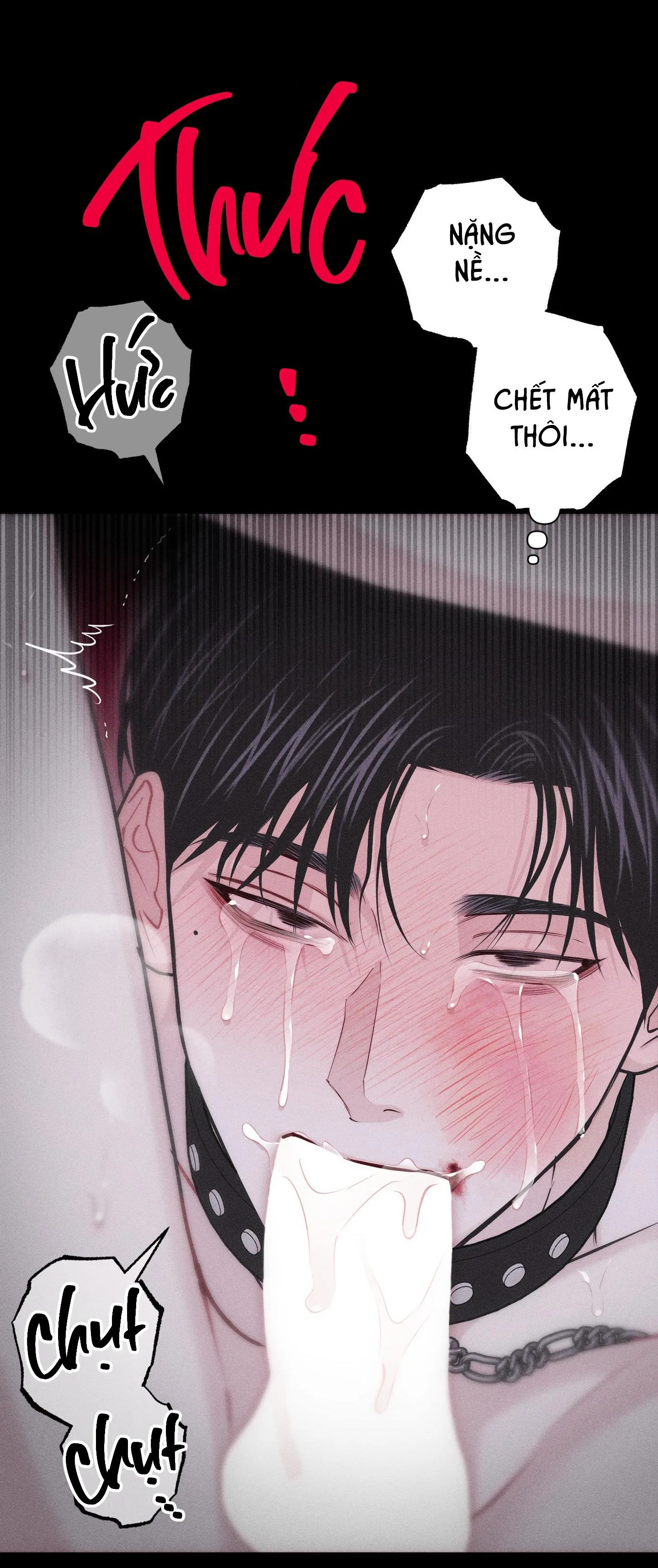 HÌNH THÁI TÌNH TAN Chapter 31 Trang 28