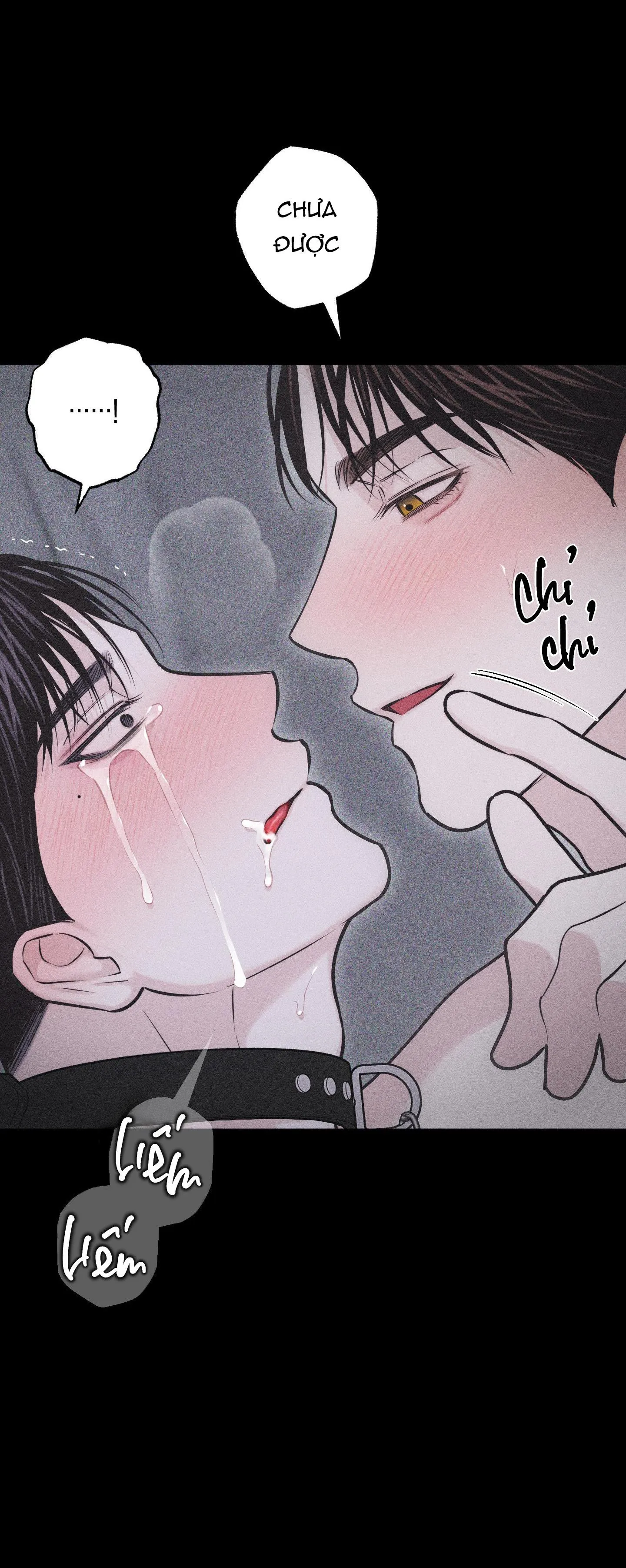 HÌNH THÁI TÌNH TAN Chapter 31 Trang 36