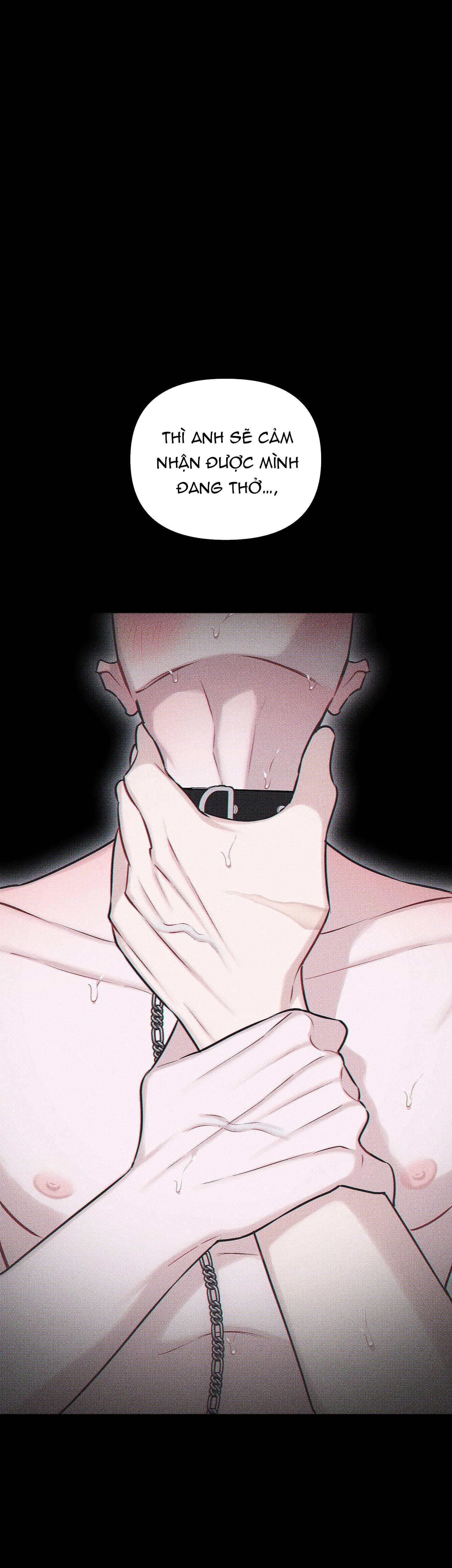 HÌNH THÁI TÌNH TAN Chapter 36 Trang 38