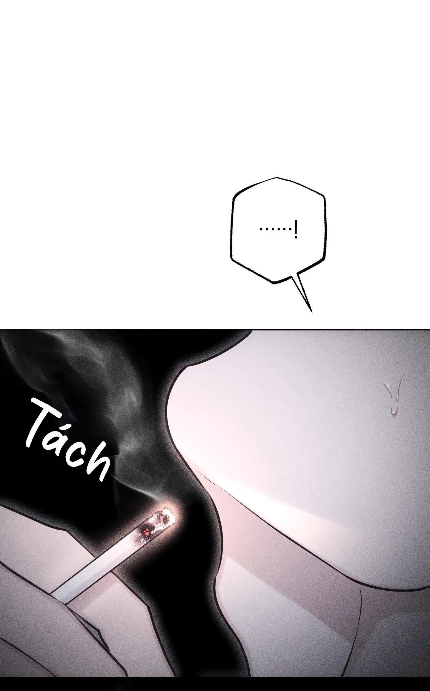 HÌNH THÁI TÌNH TAN Chapter 38 Trang 44