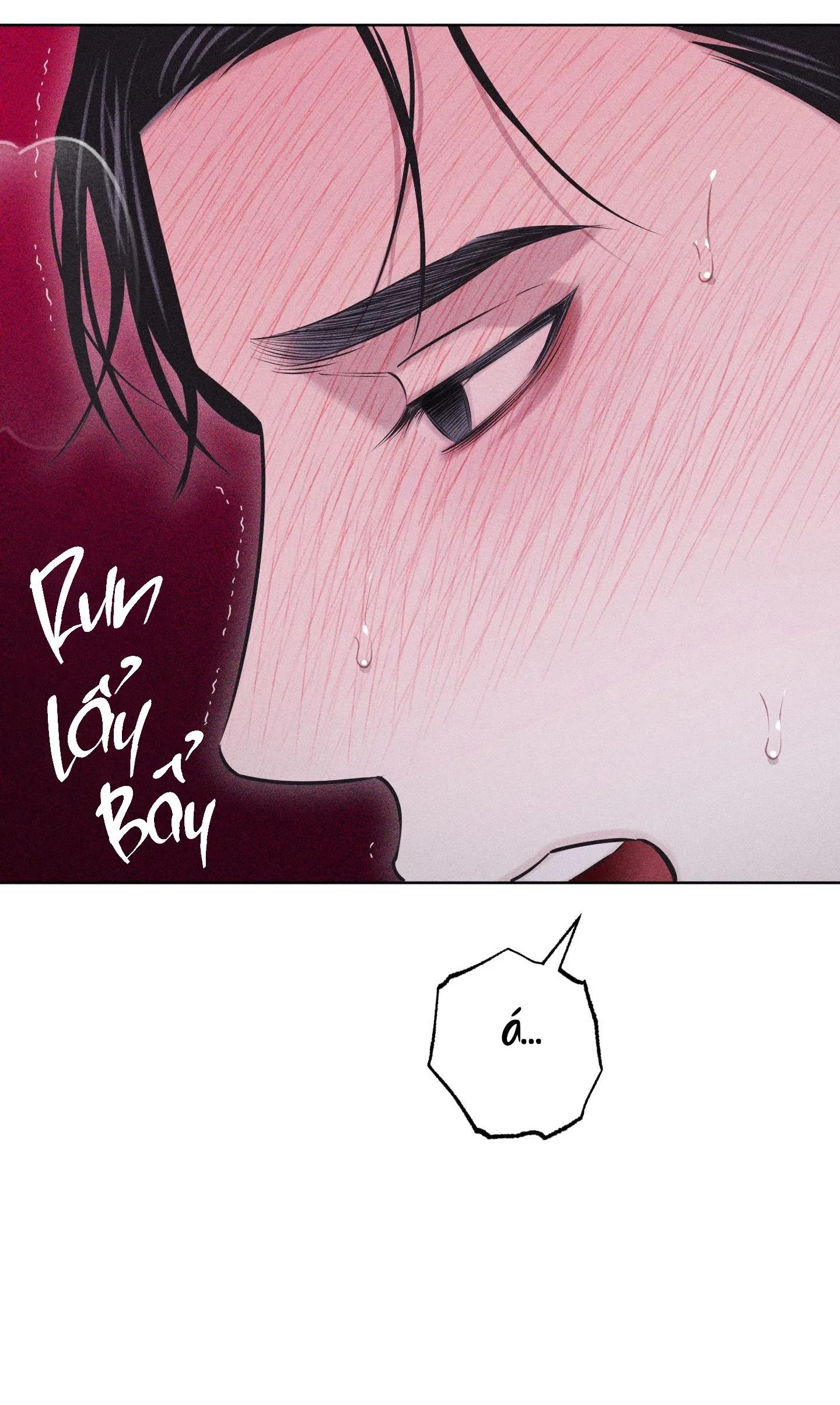 HÌNH THÁI TÌNH TAN Chapter 39 Trang 42