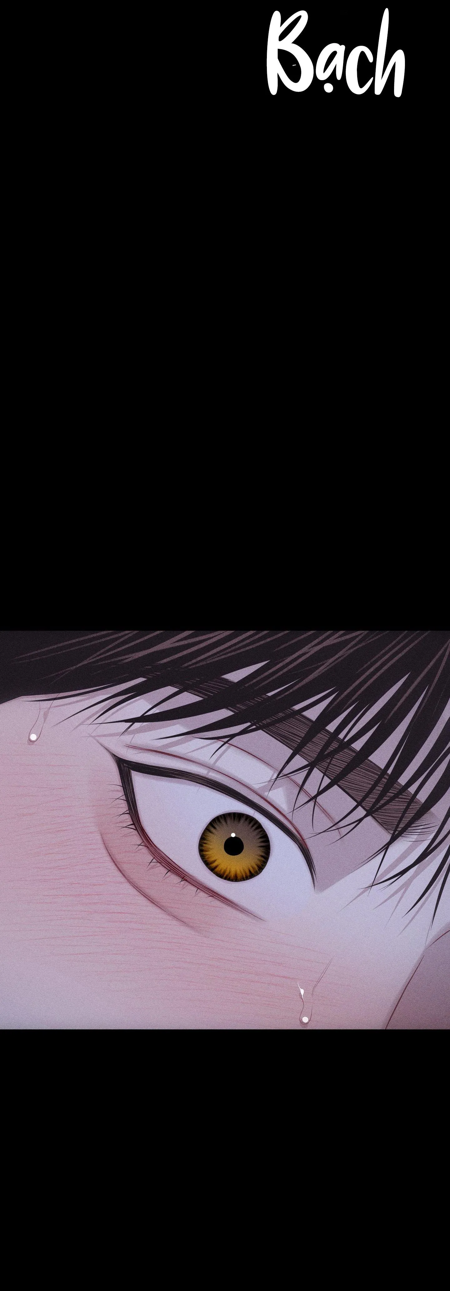 HÌNH THÁI TÌNH TAN Chapter 41 Trang 35